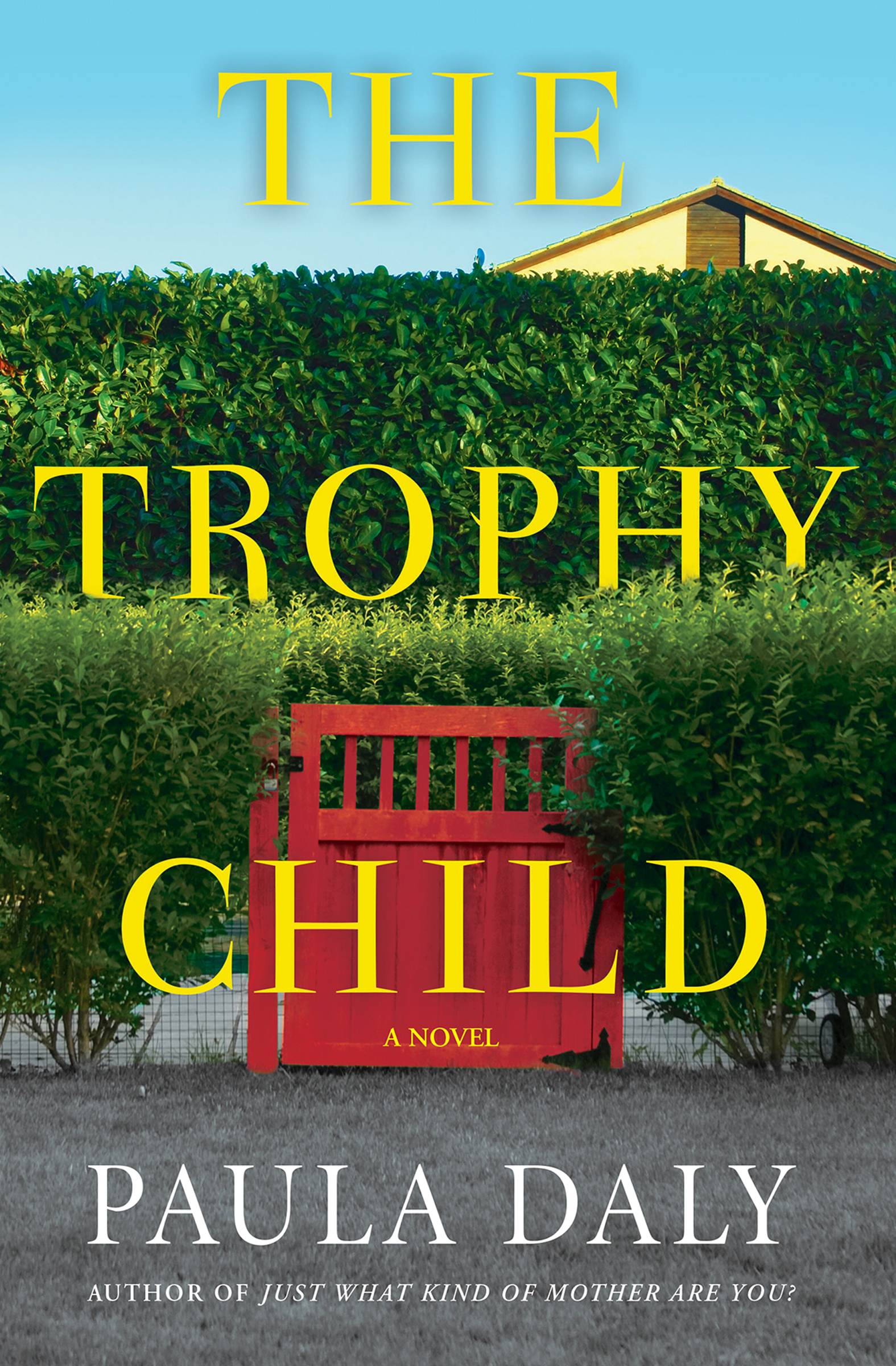 Umschlagbild für The Trophy Child [electronic resource] : A Novel