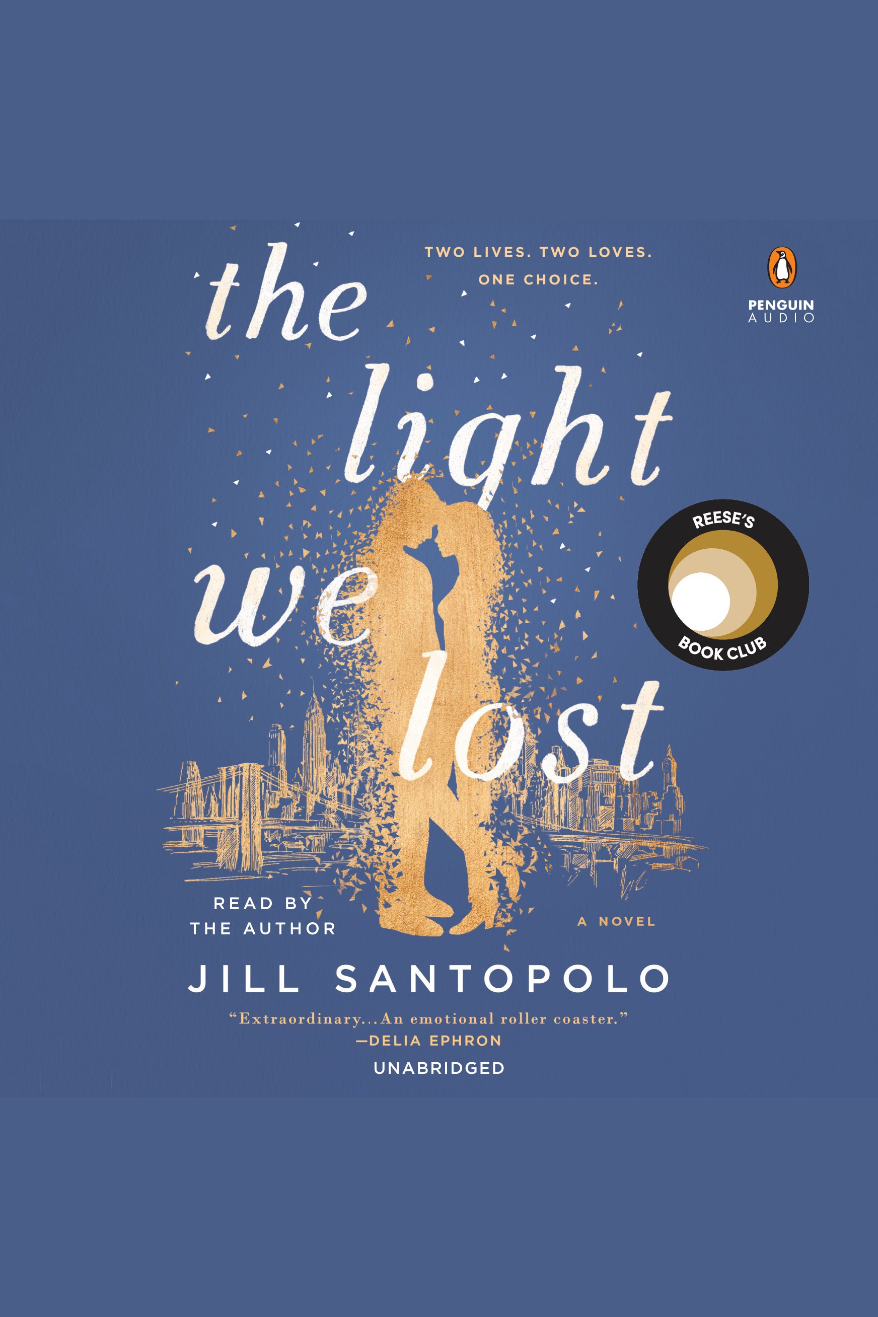 Cover image for The Light We Lost [electronic resource] :