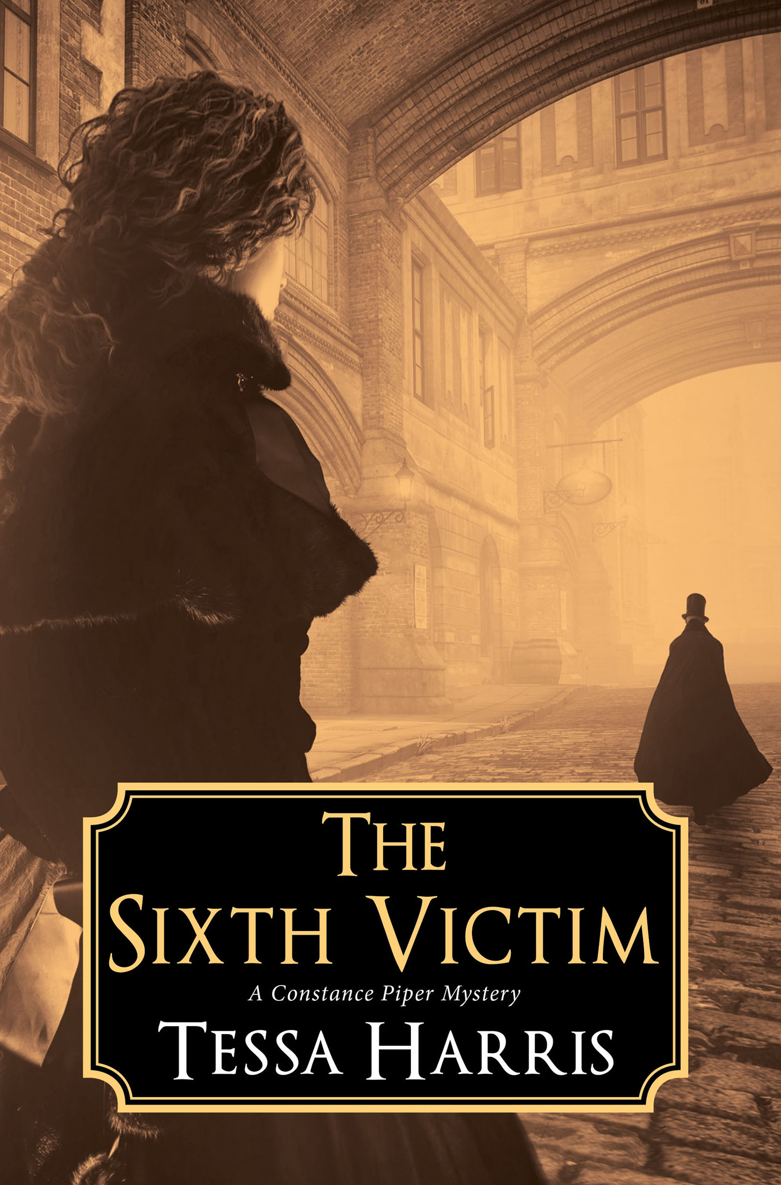 Imagen de portada para The Sixth Victim [electronic resource] :