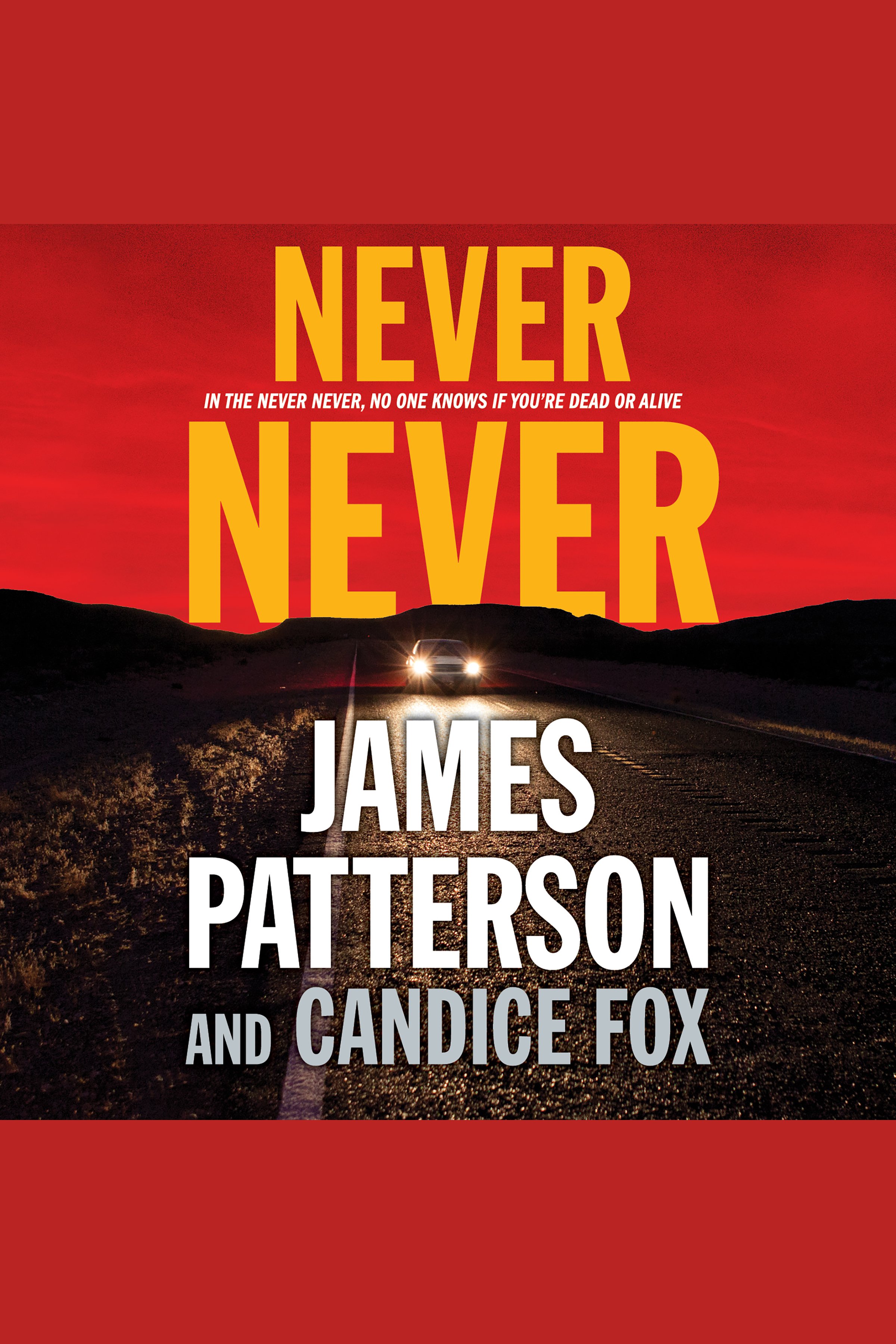 Cover image for Never Never [electronic resource] :