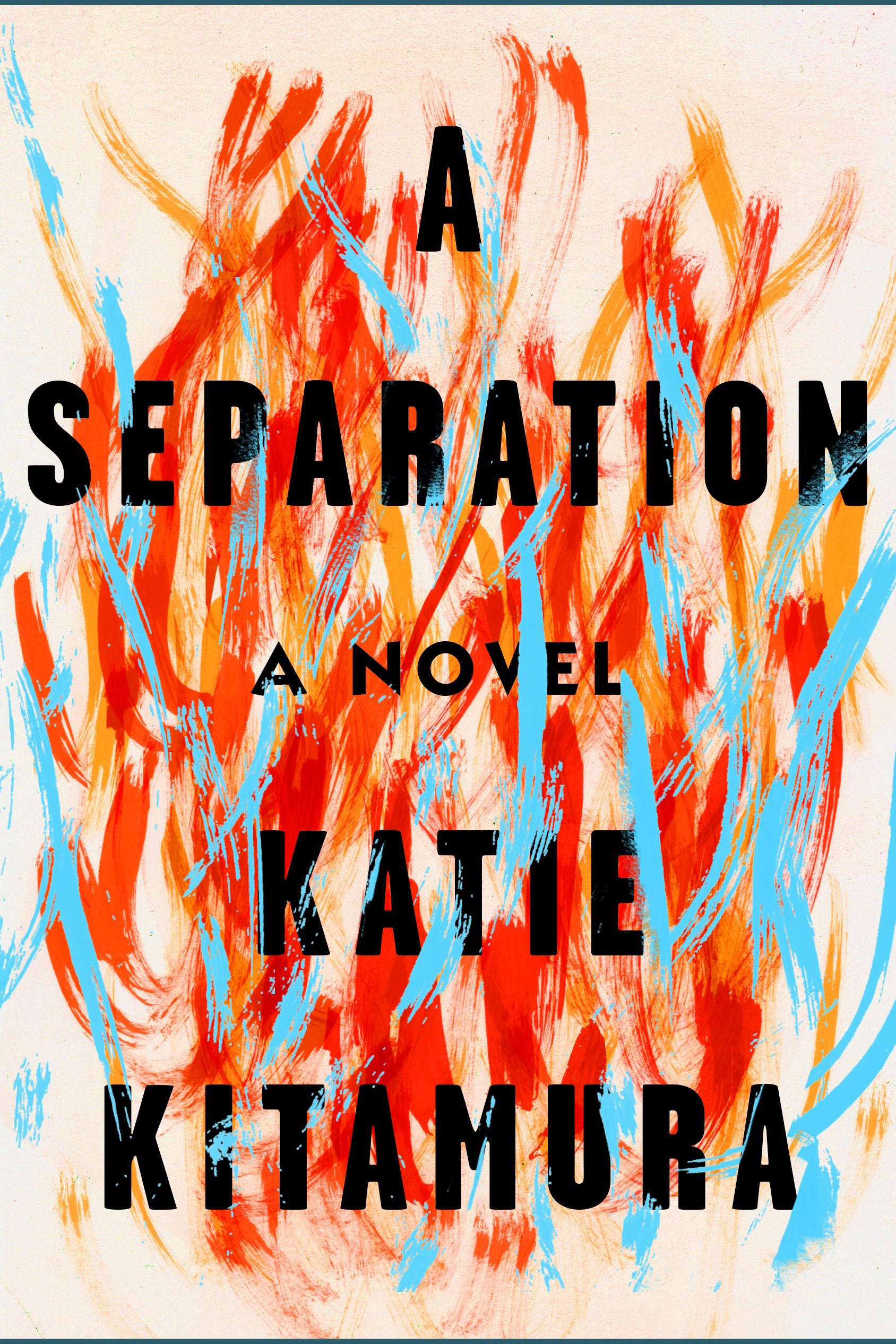 Cover image for A Separation [electronic resource] : A Novel