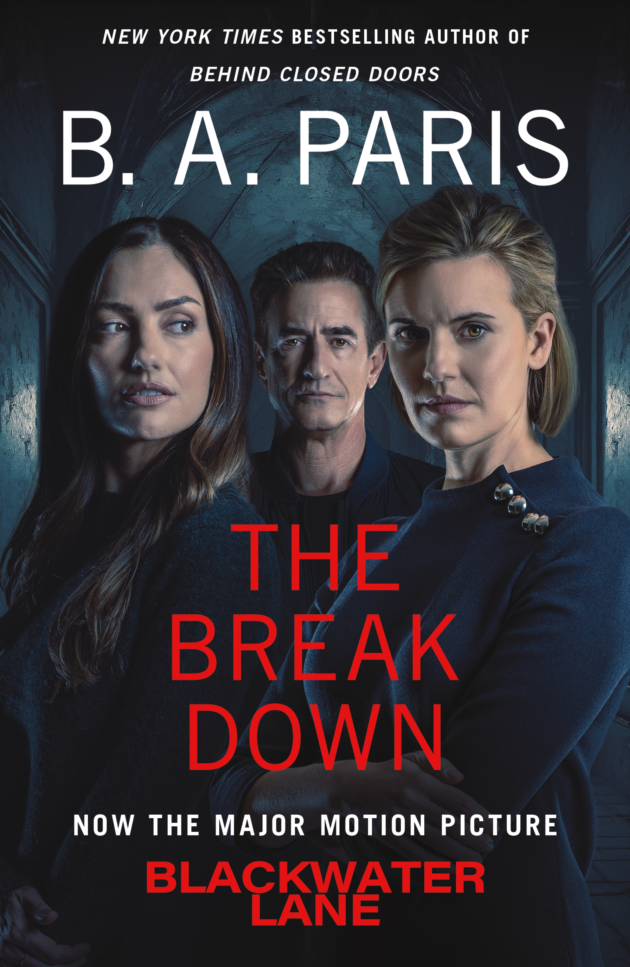 Cover image for The Breakdown [electronic resource] : A Novel