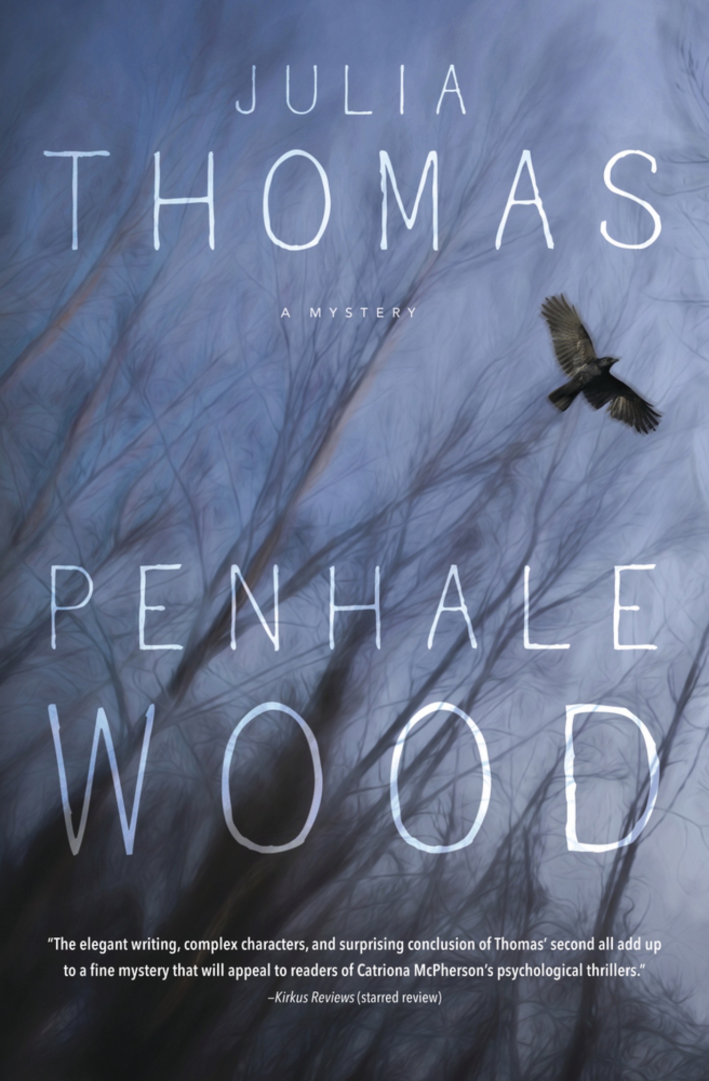 Image de couverture de Penhale Wood [electronic resource] : A Mystery