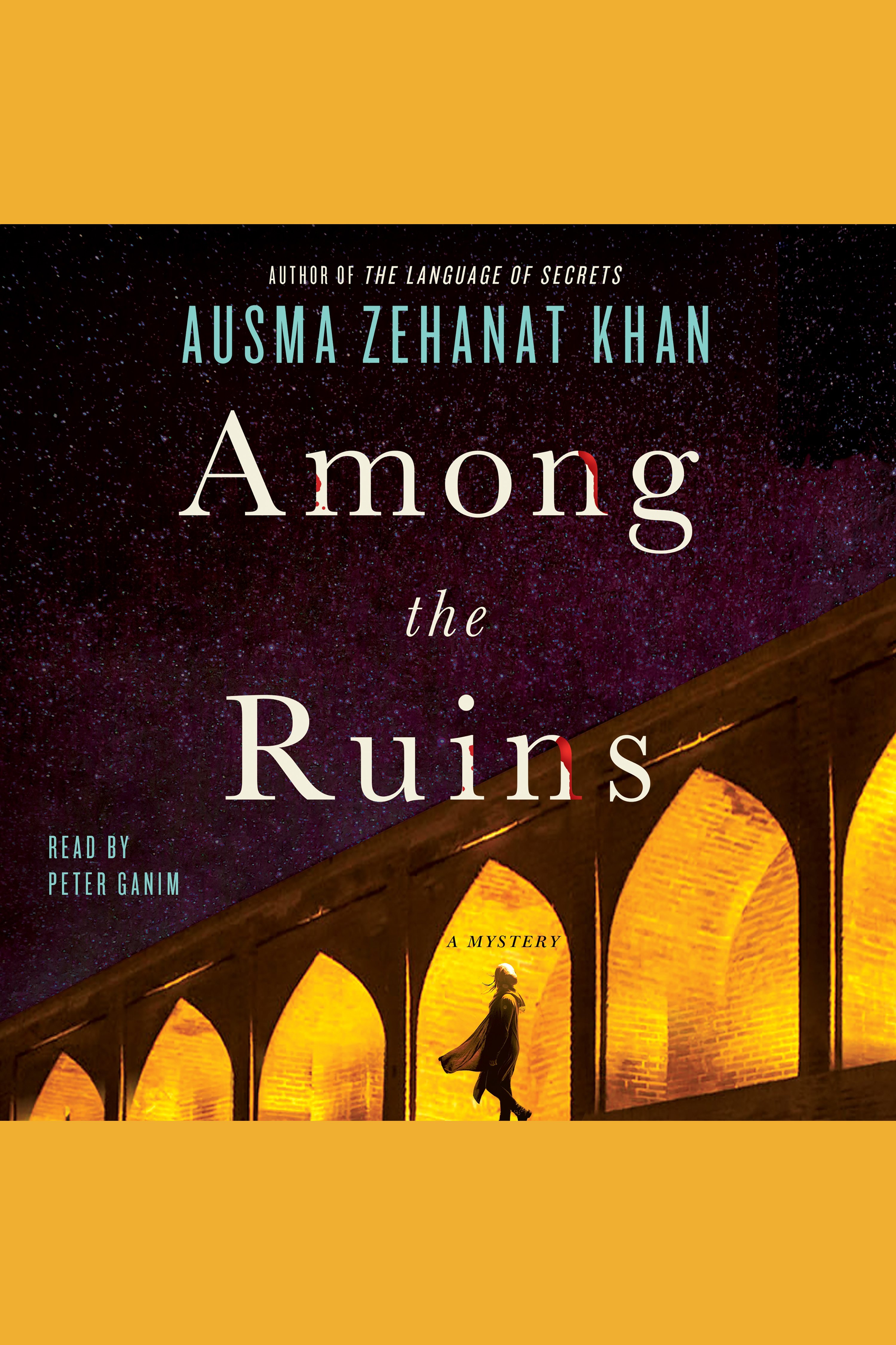 Cover image for Among the Ruins [electronic resource] : A Mystery