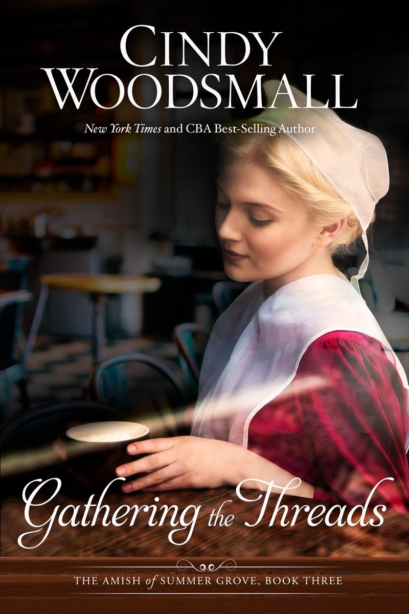Image de couverture de Gathering the Threads [electronic resource] : A Novel