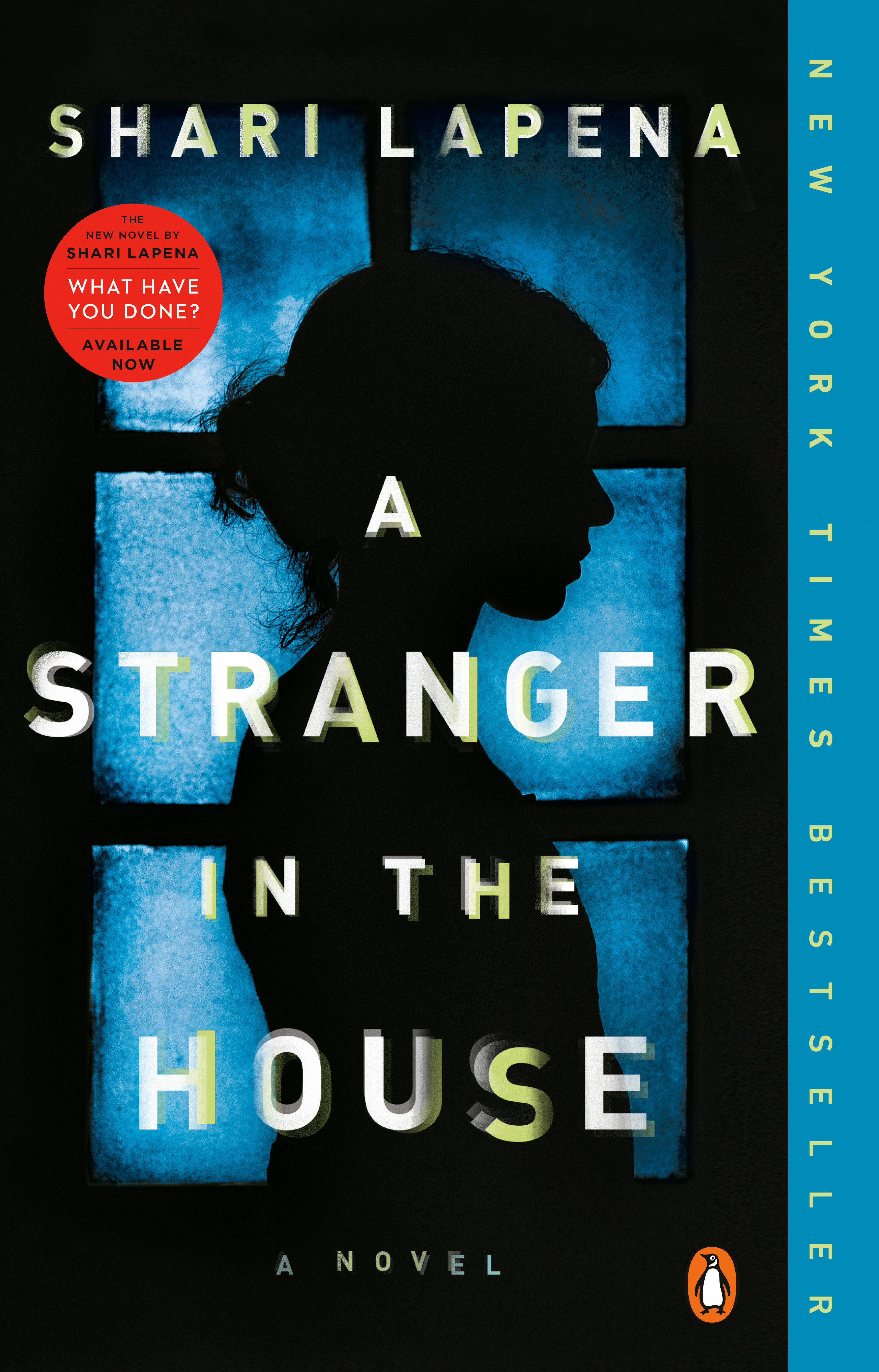 A stranger in the house cover image