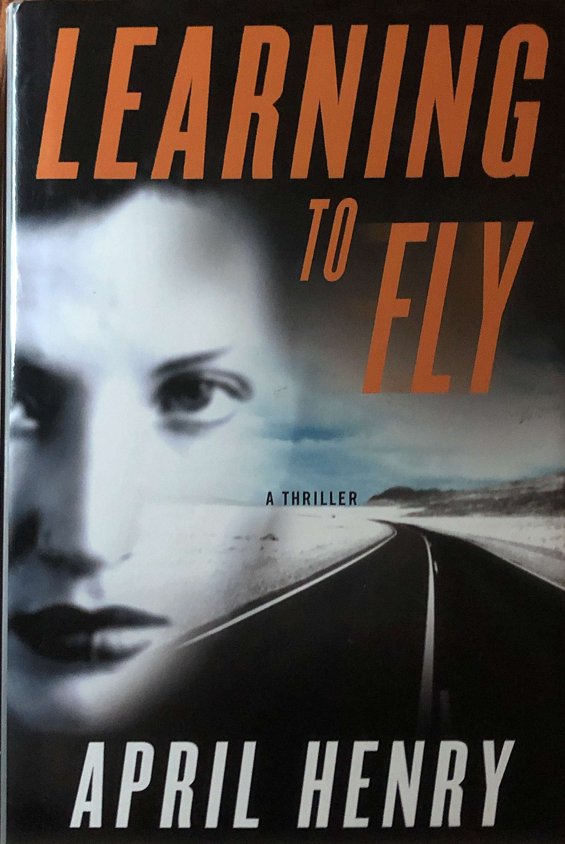 Learning to Fly cover image