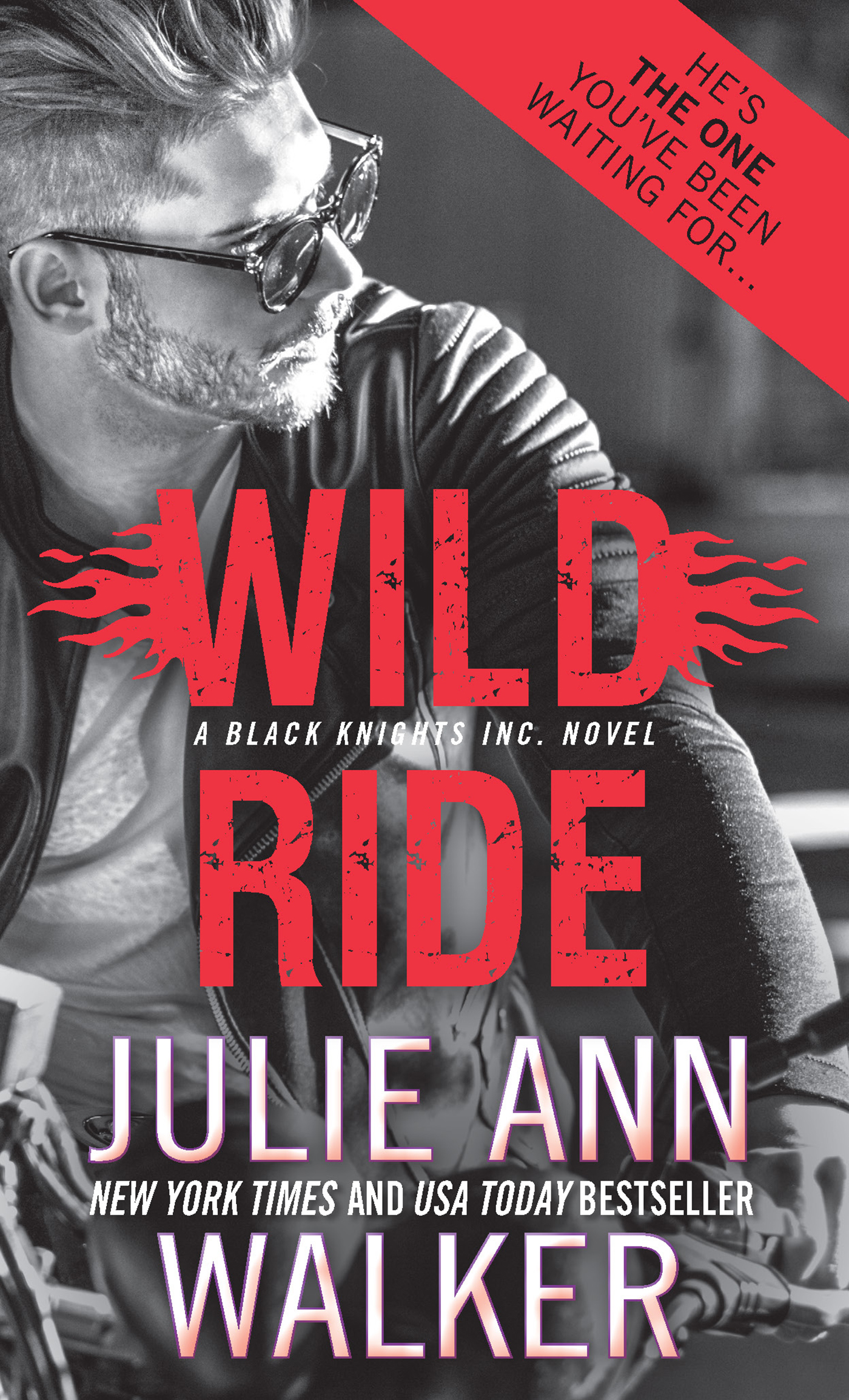 Umschlagbild für Wild Ride [electronic resource] :