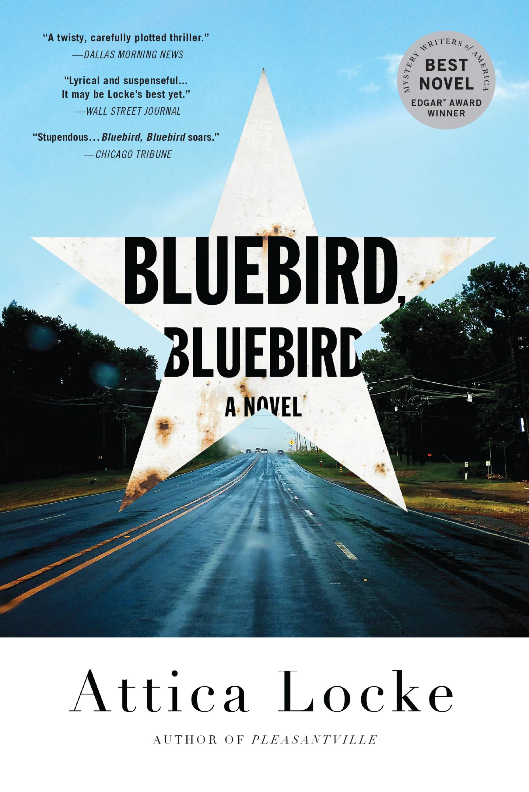Cover image for Bluebird, Bluebird [electronic resource] :