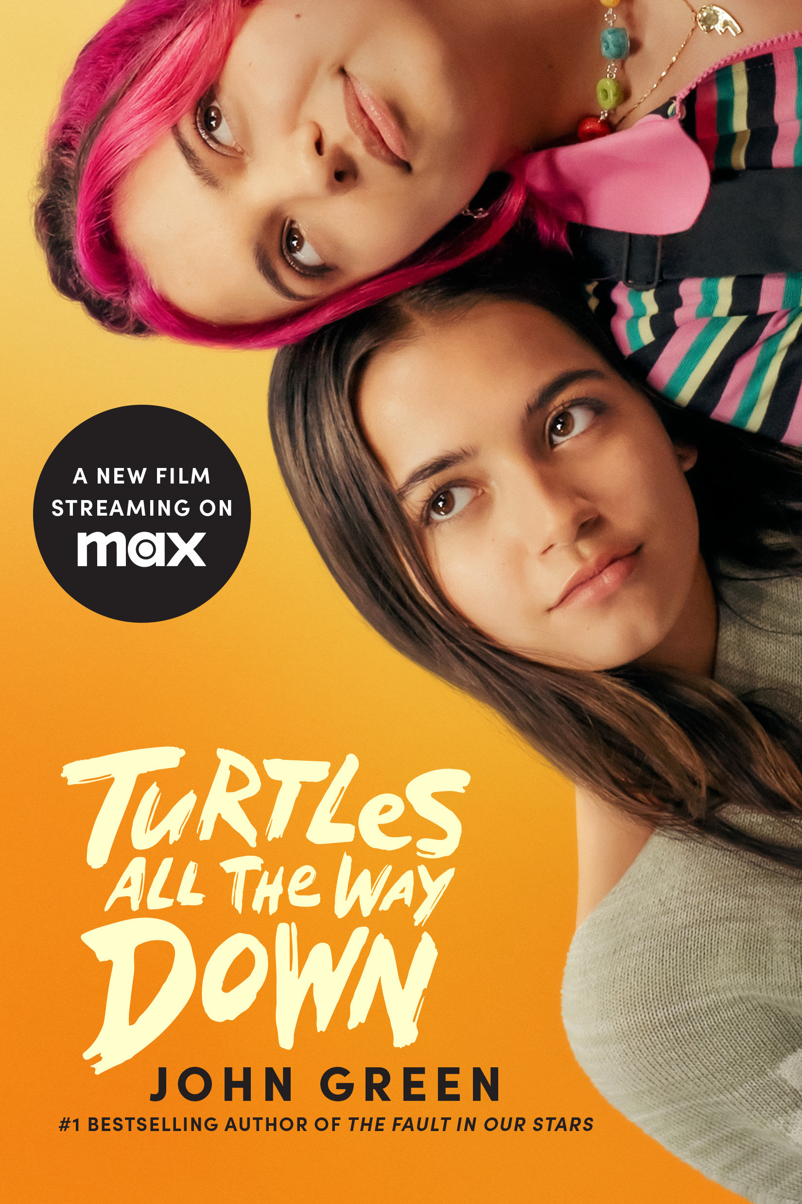 Cover image for Turtles All the Way Down [electronic resource] :