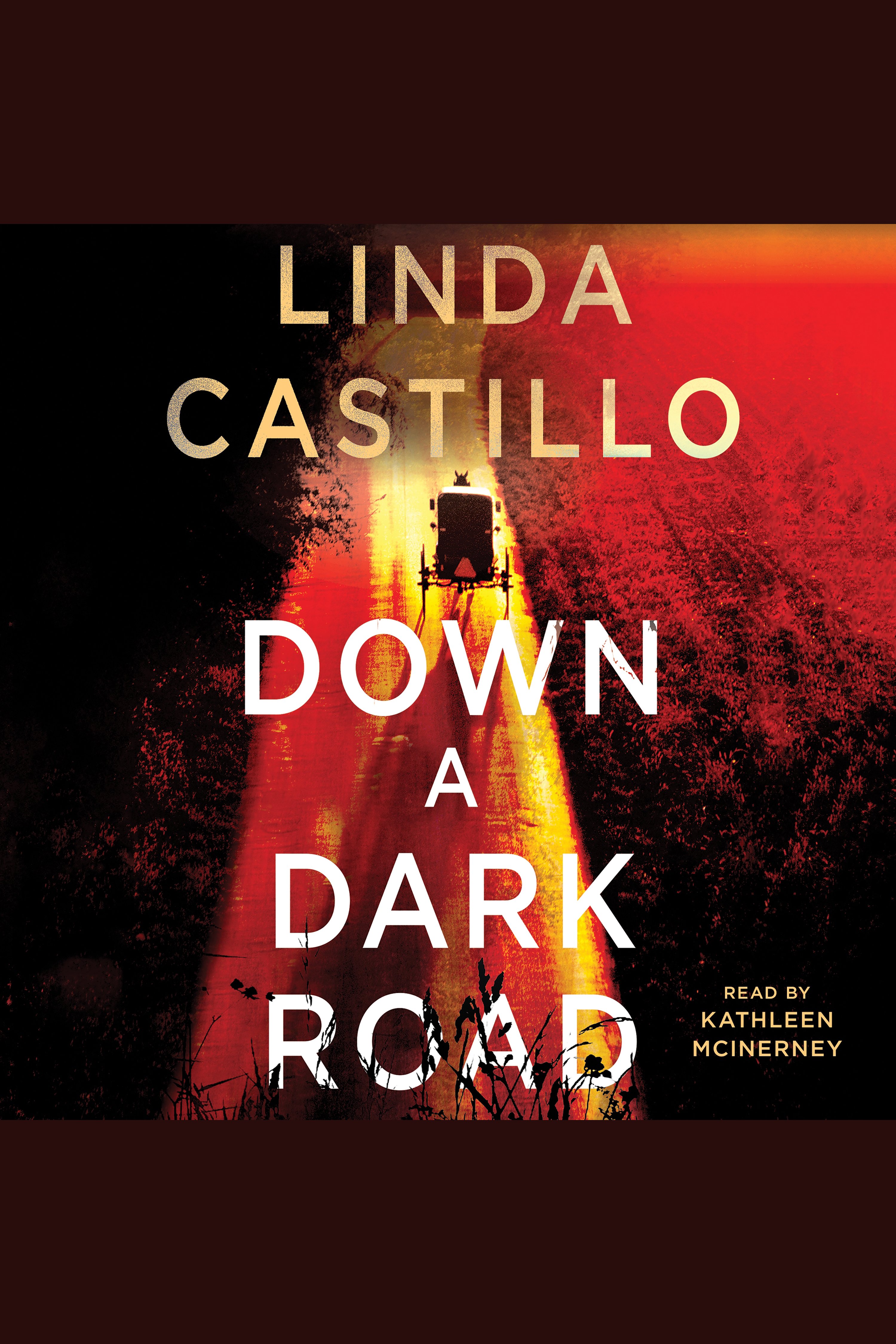 Imagen de portada para Down a Dark Road [electronic resource] : A Kate Burkholder Novel