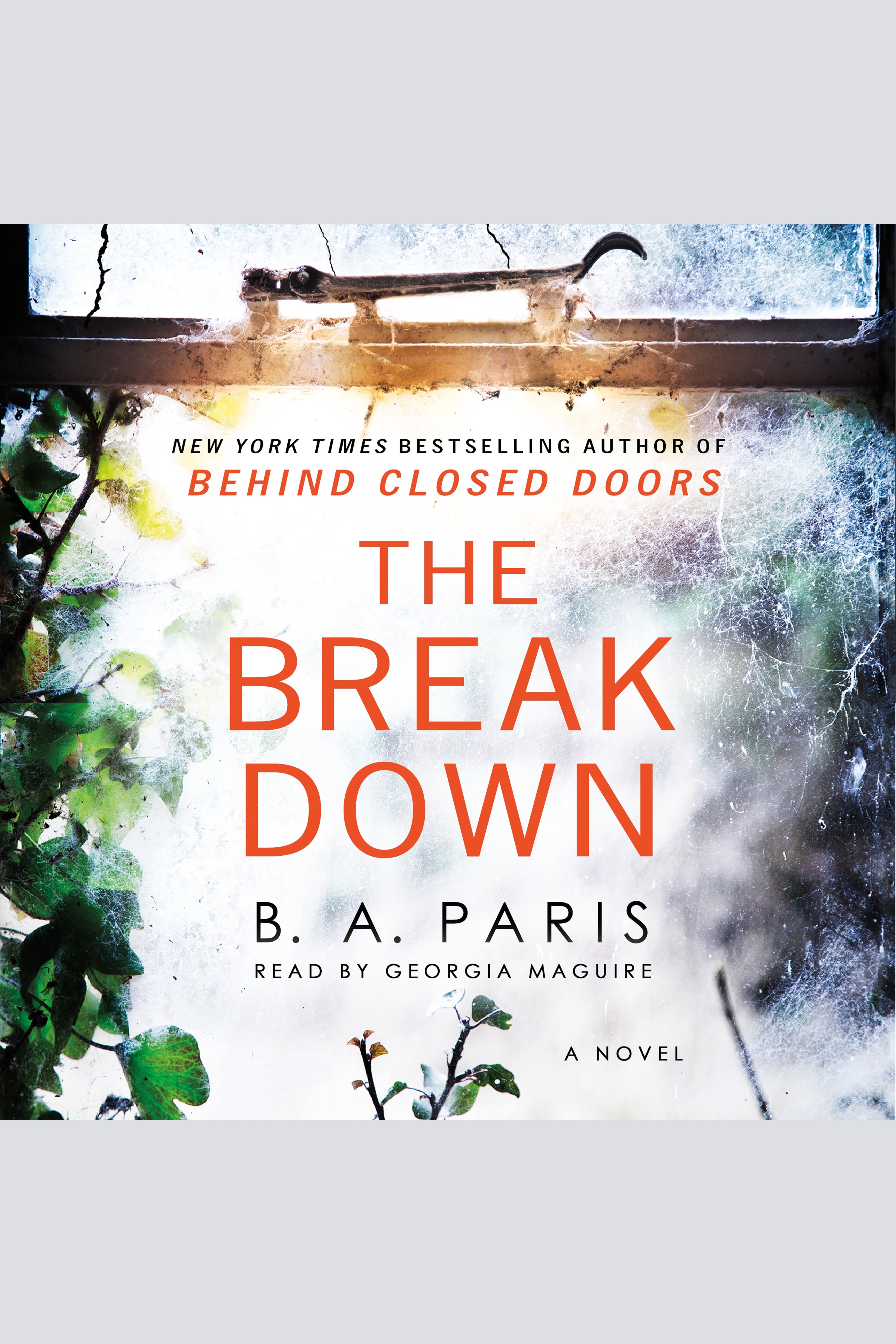 Cover image for The Breakdown [electronic resource] : A Novel