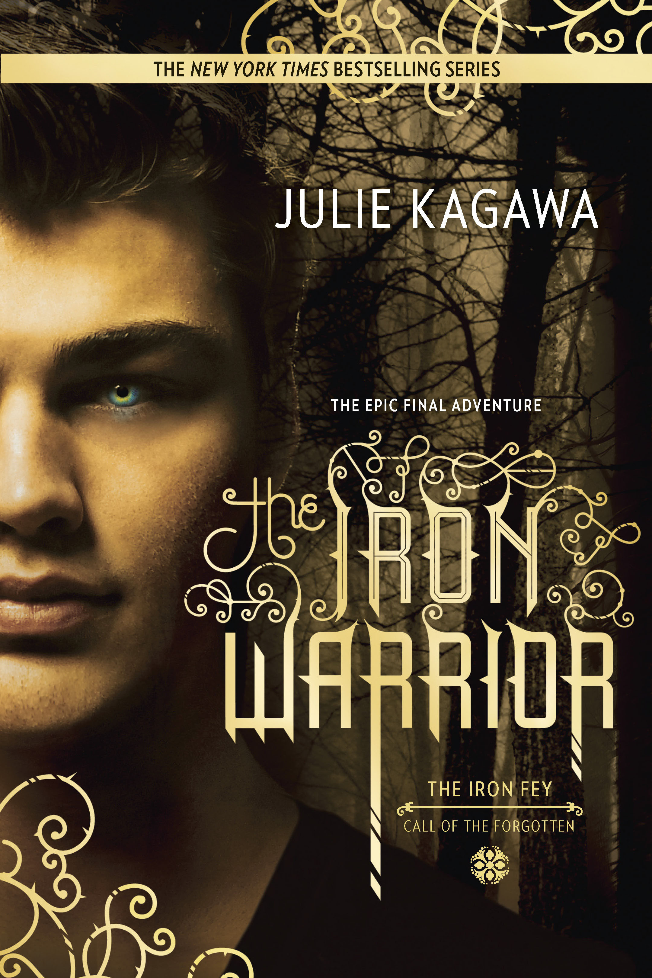 The iron warrior
