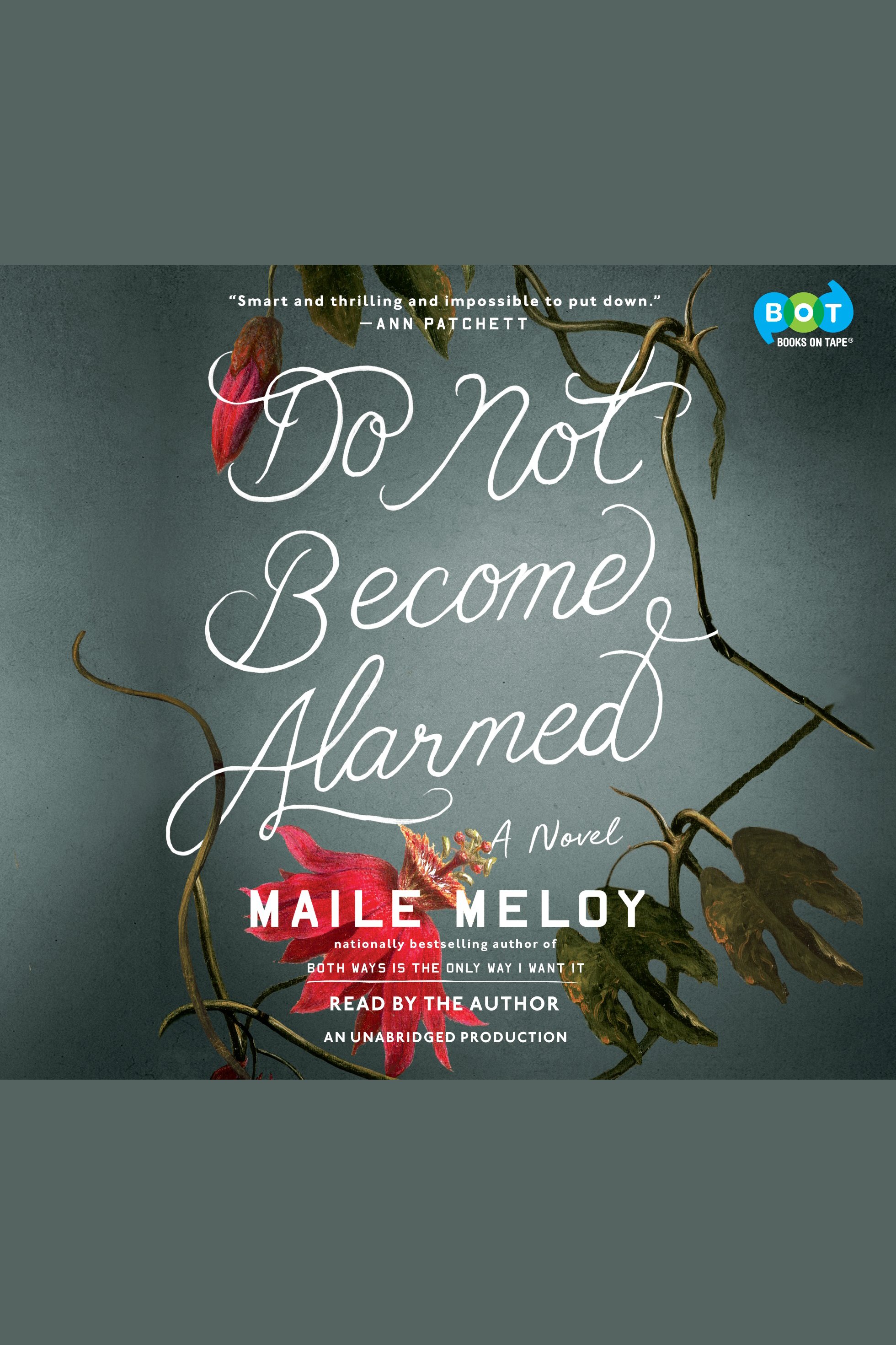 Cover image for Do Not Become Alarmed [electronic resource] : A Novel