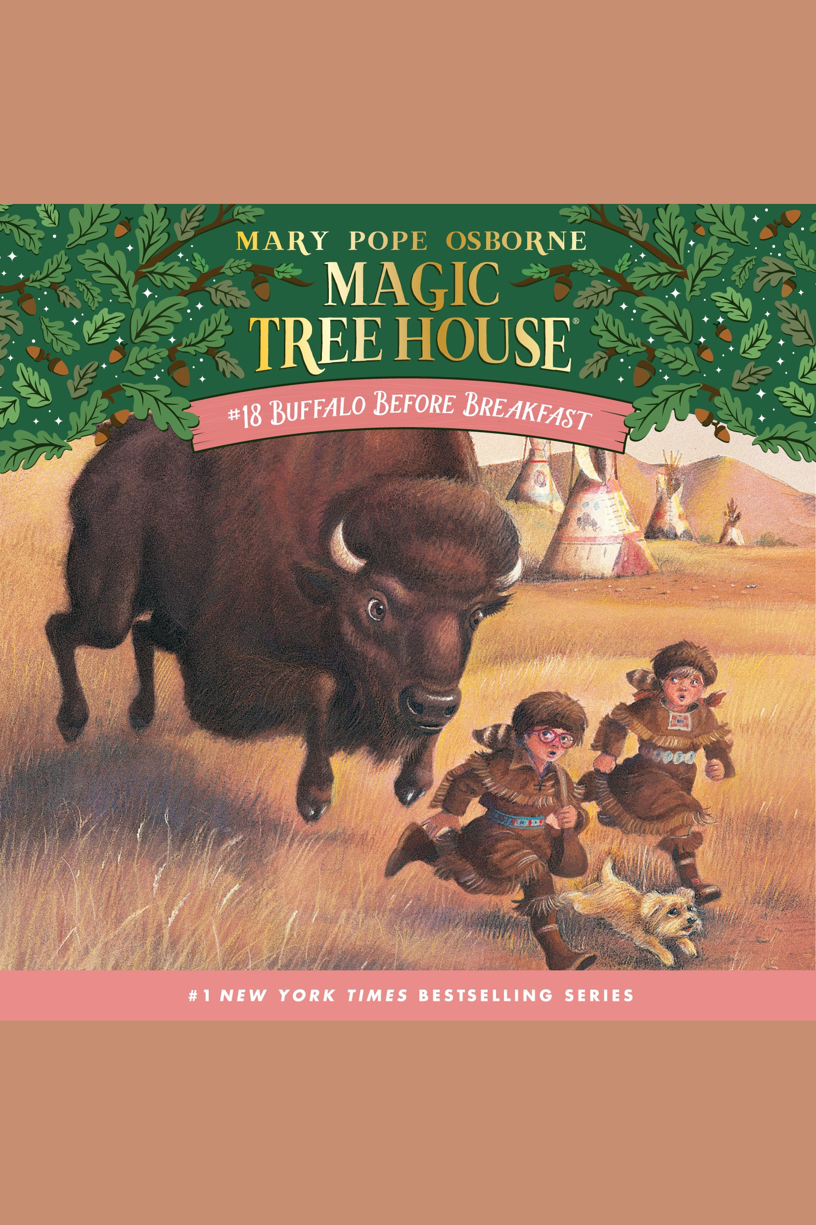 Buffalo before breakfast cover image