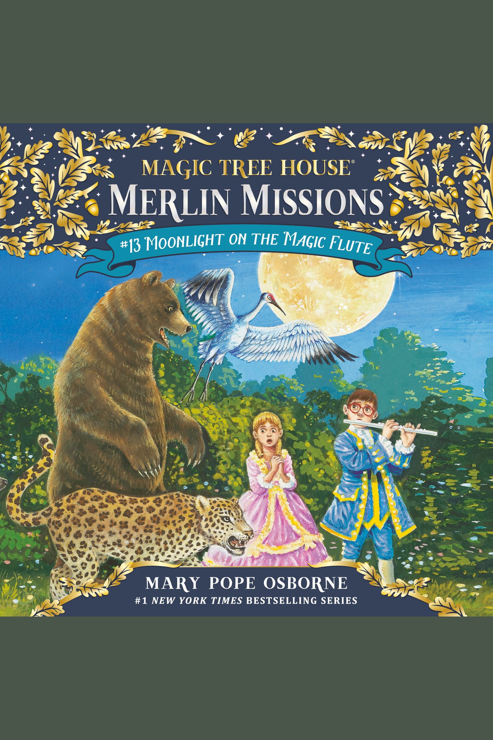 Moonlight on the magic flute cover image