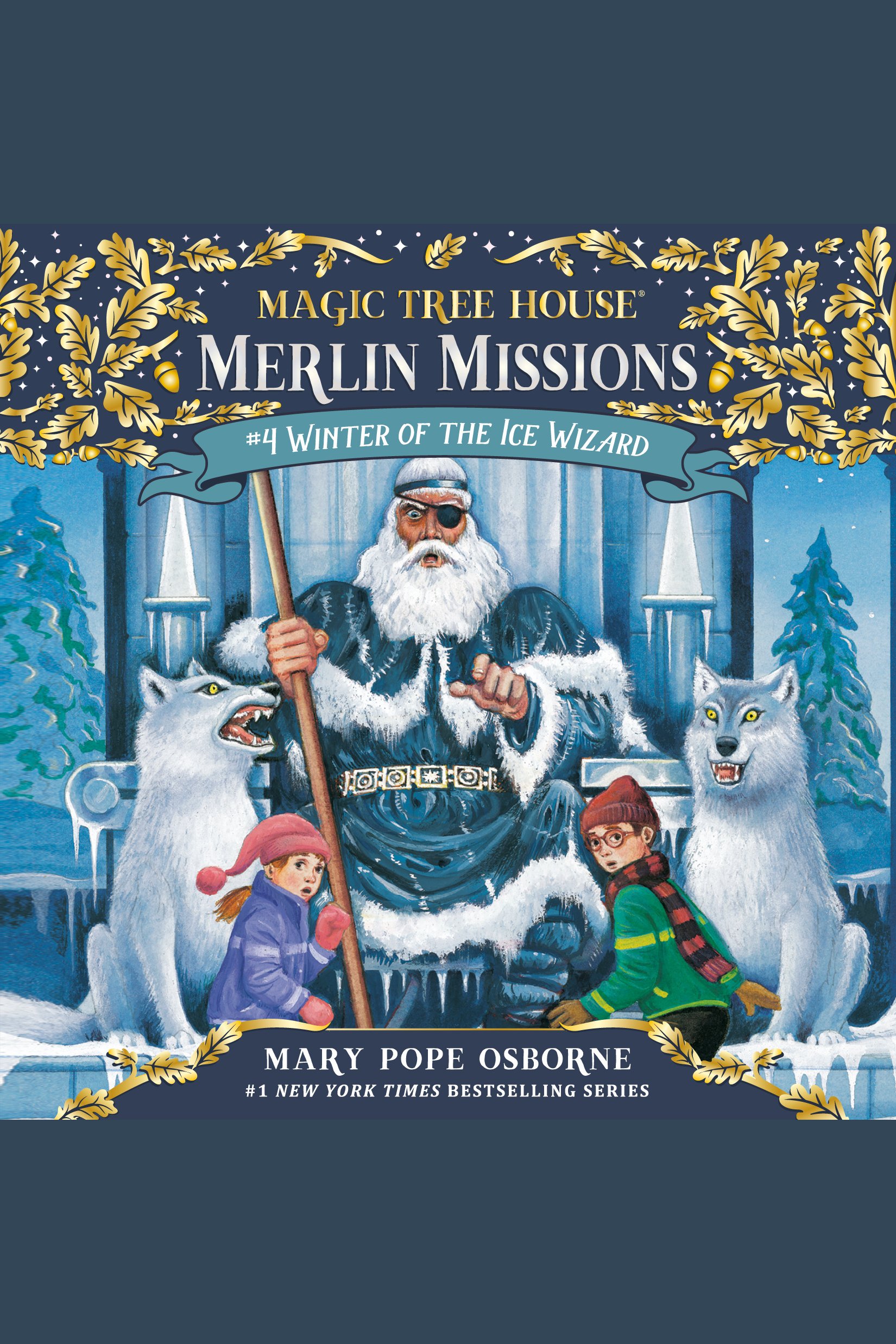 Winter of the ice wizard cover image