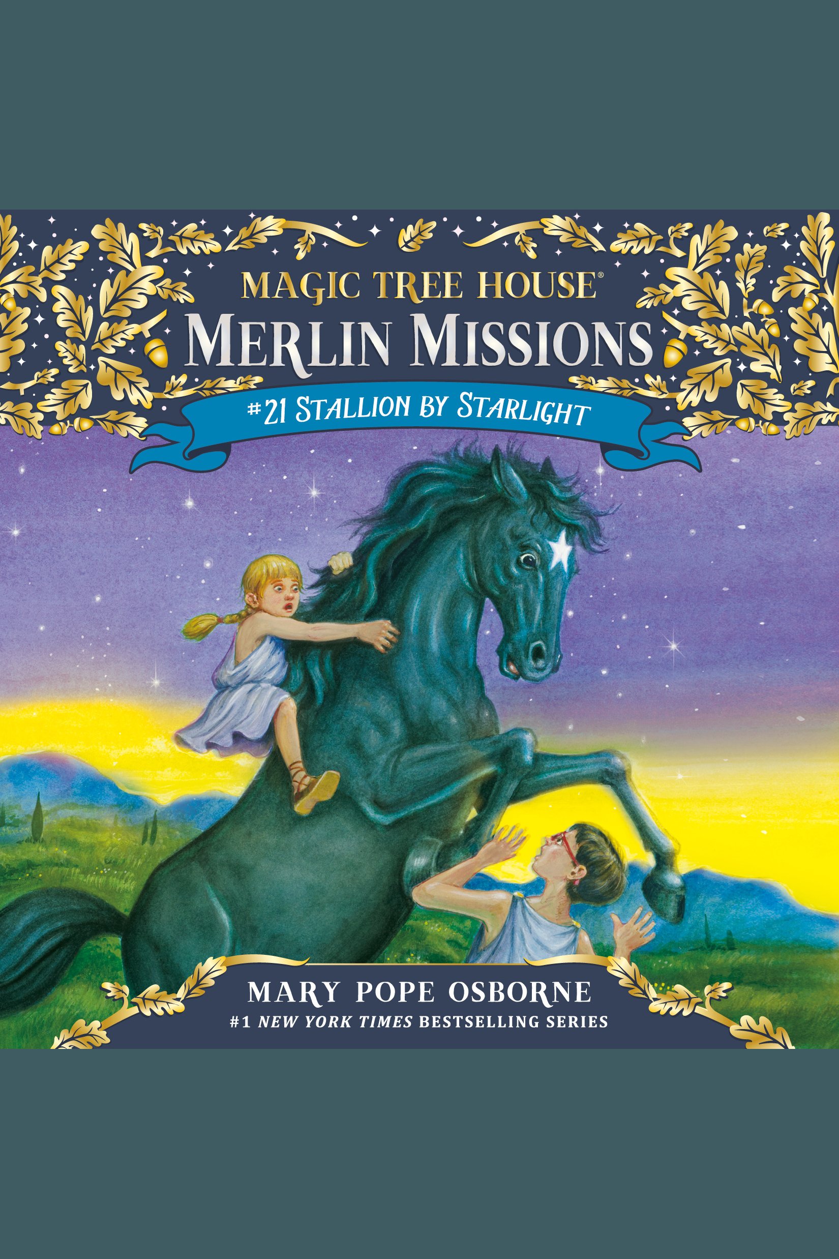 Stallion by starlight cover image