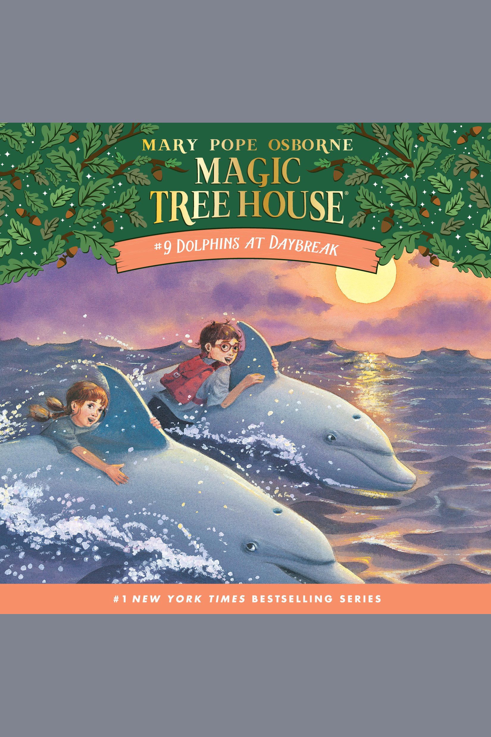 Dolphins at daybreak cover image