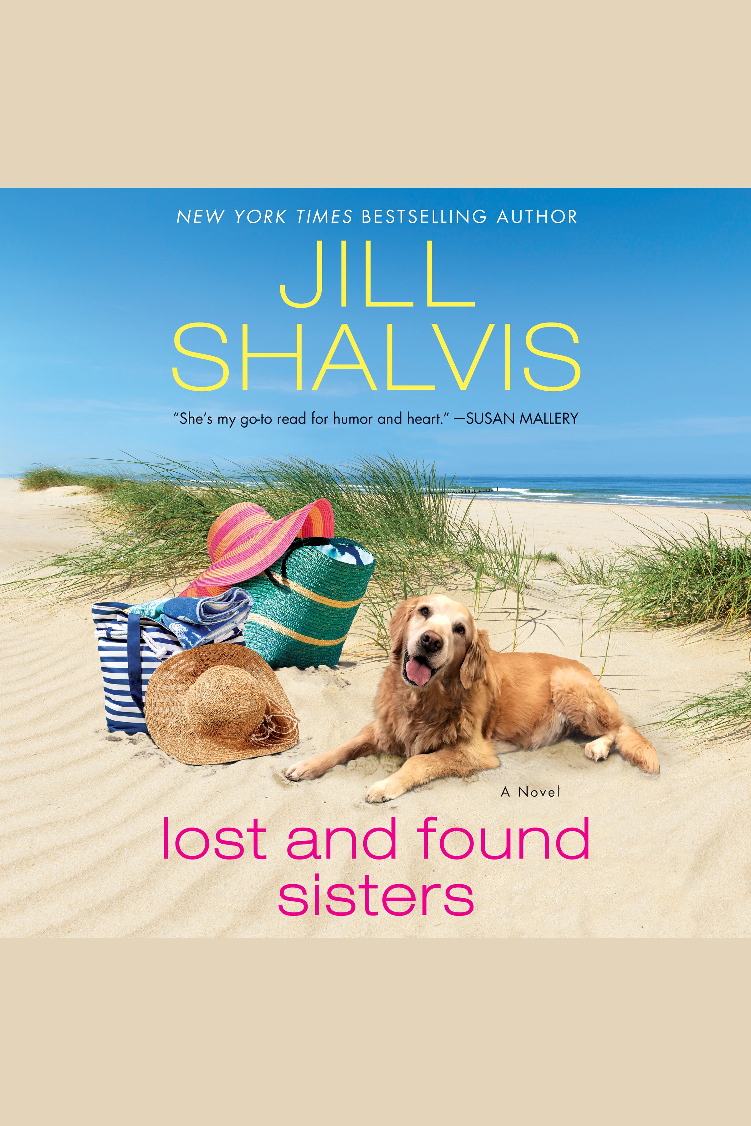 Lost and found sisters cover image