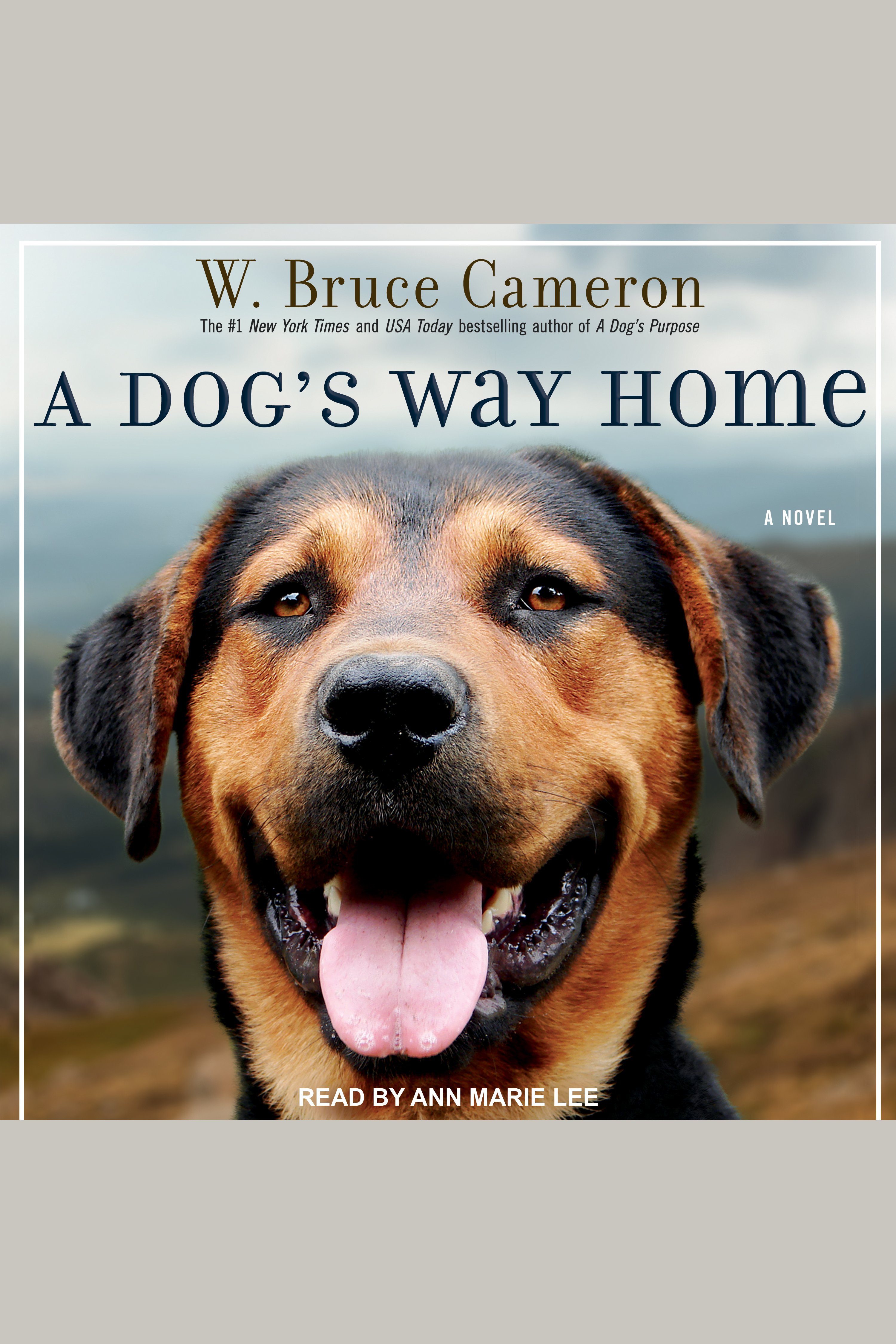 Cover image for Dog's Way Home, A [electronic resource] :