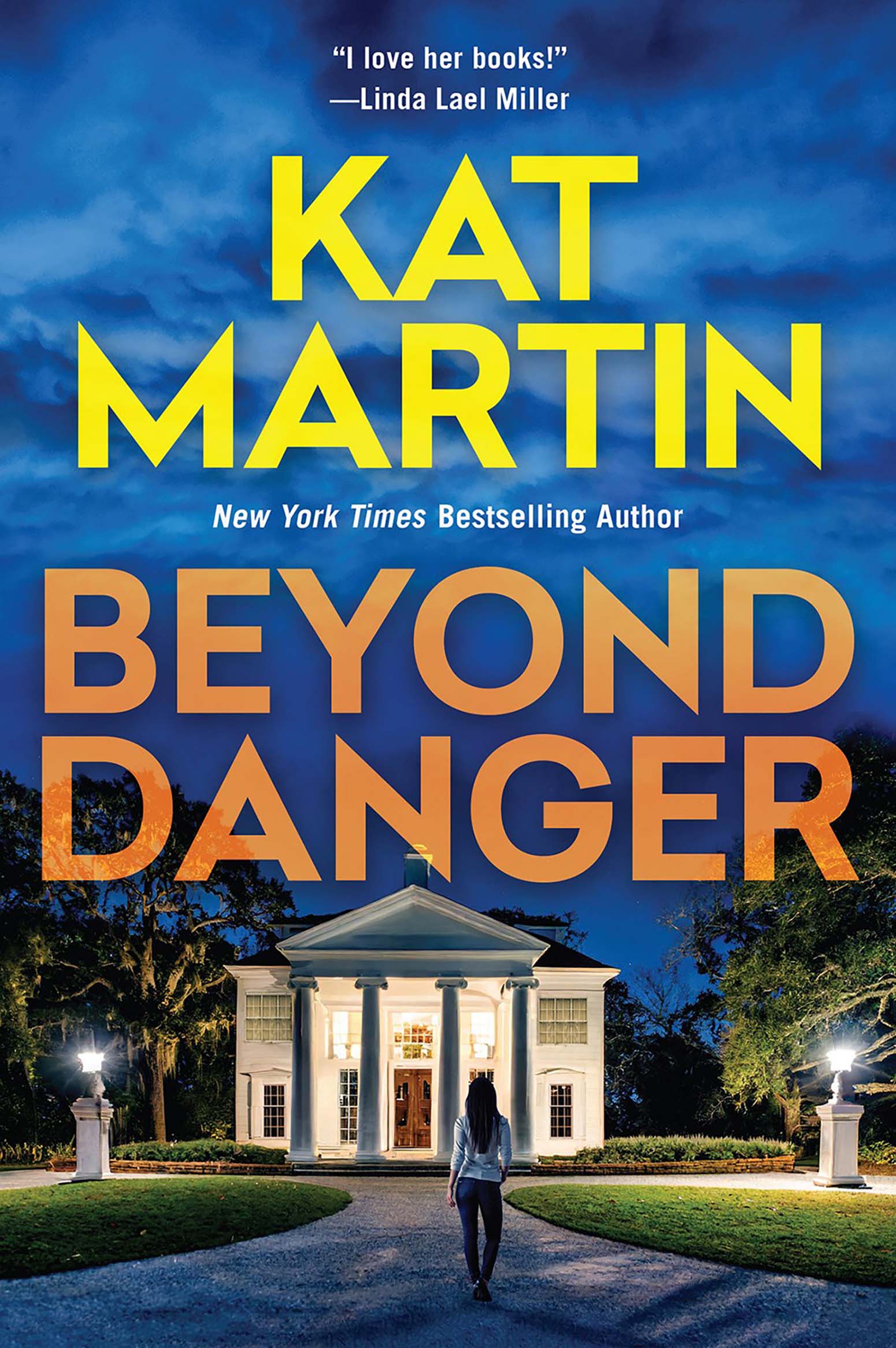 Cover image for Beyond Danger [electronic resource] :