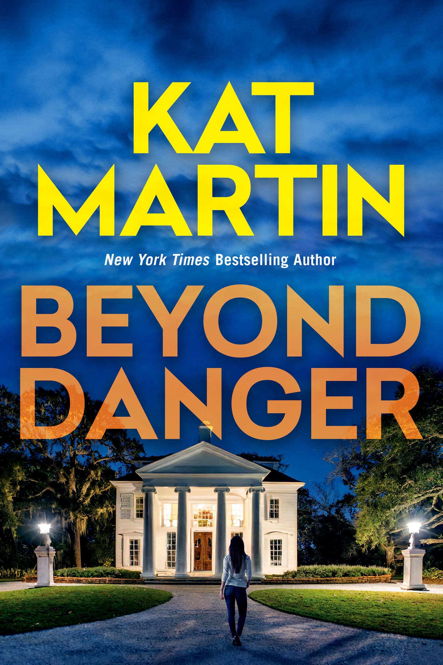 Beyond danger cover image