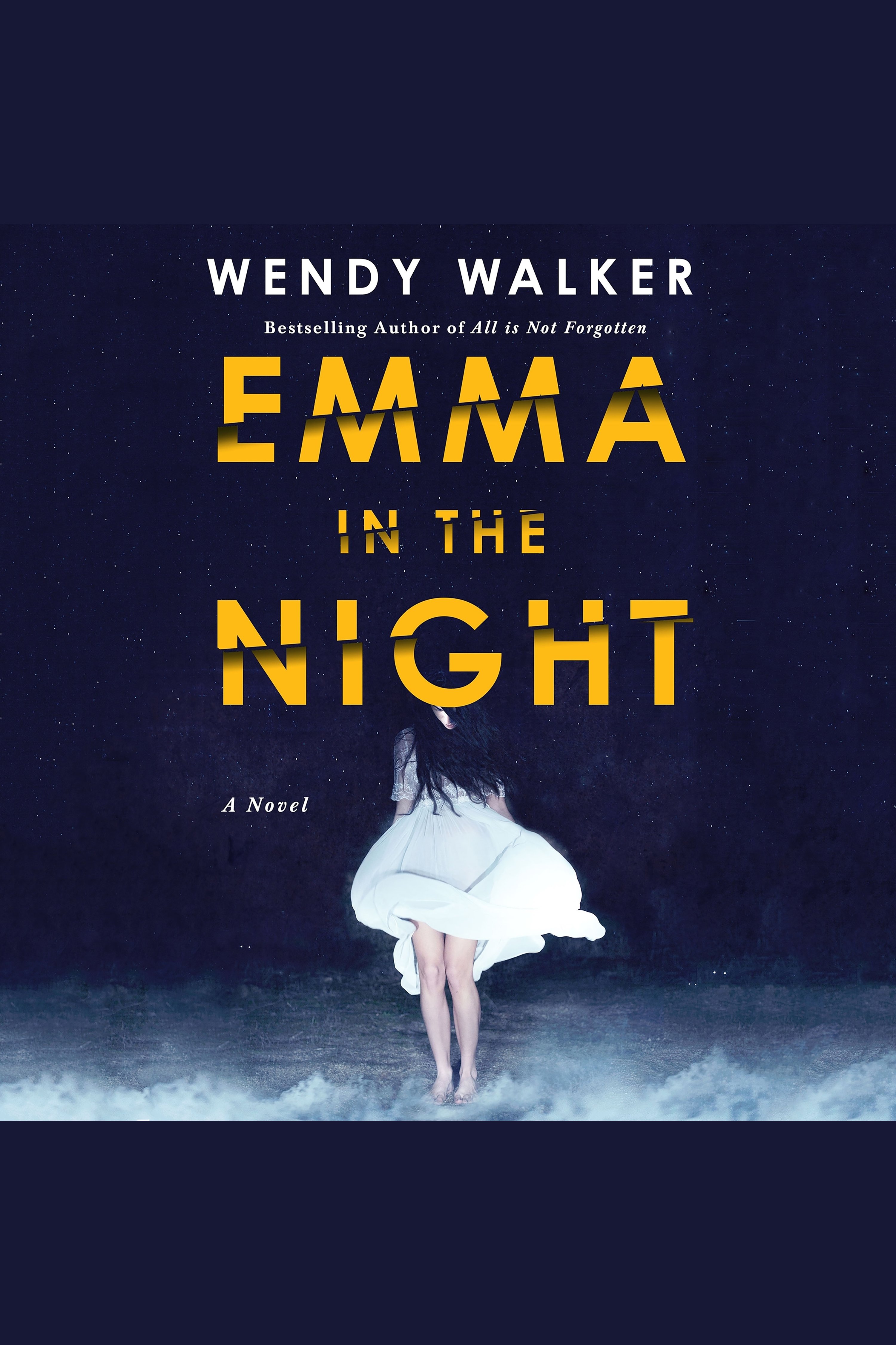 Imagen de portada para Emma in the Night [electronic resource] : A Novel