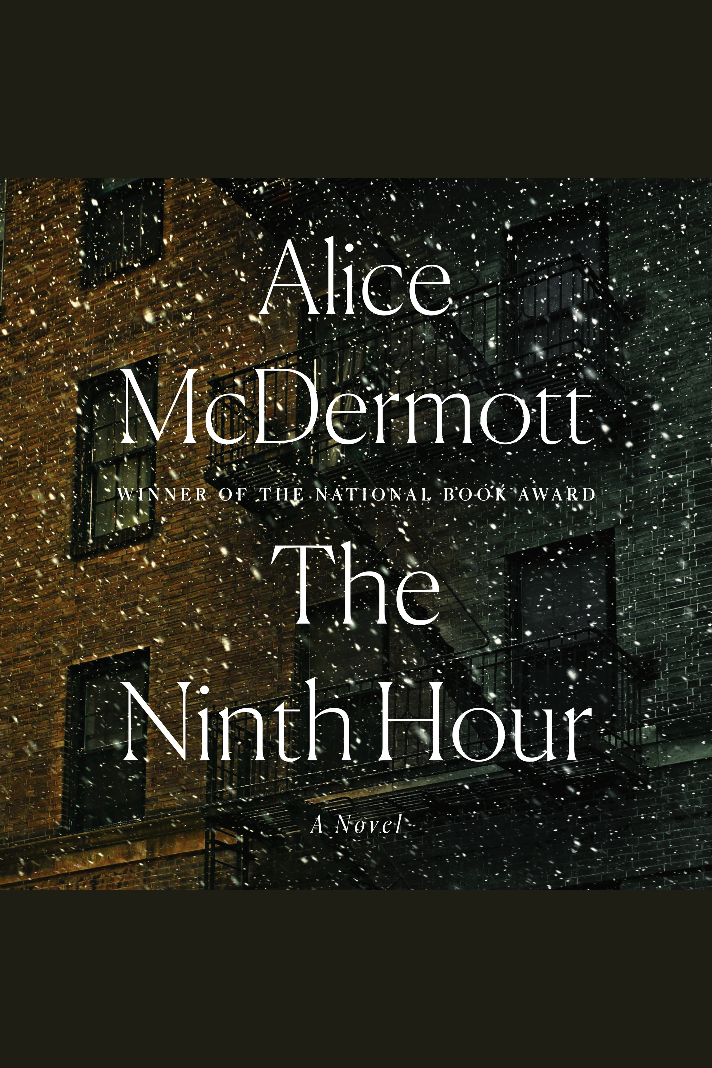 The ninth hour cover image