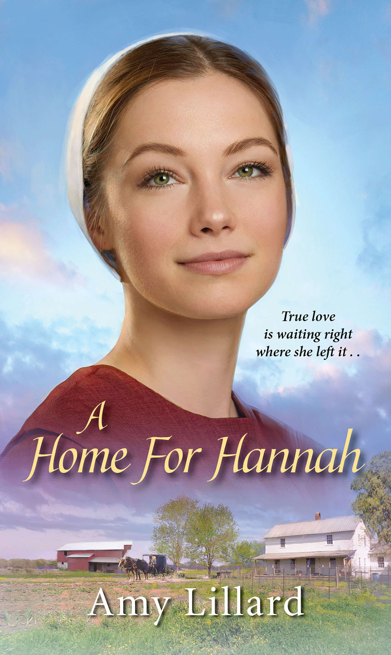 Umschlagbild für A Home for Hannah [electronic resource] :