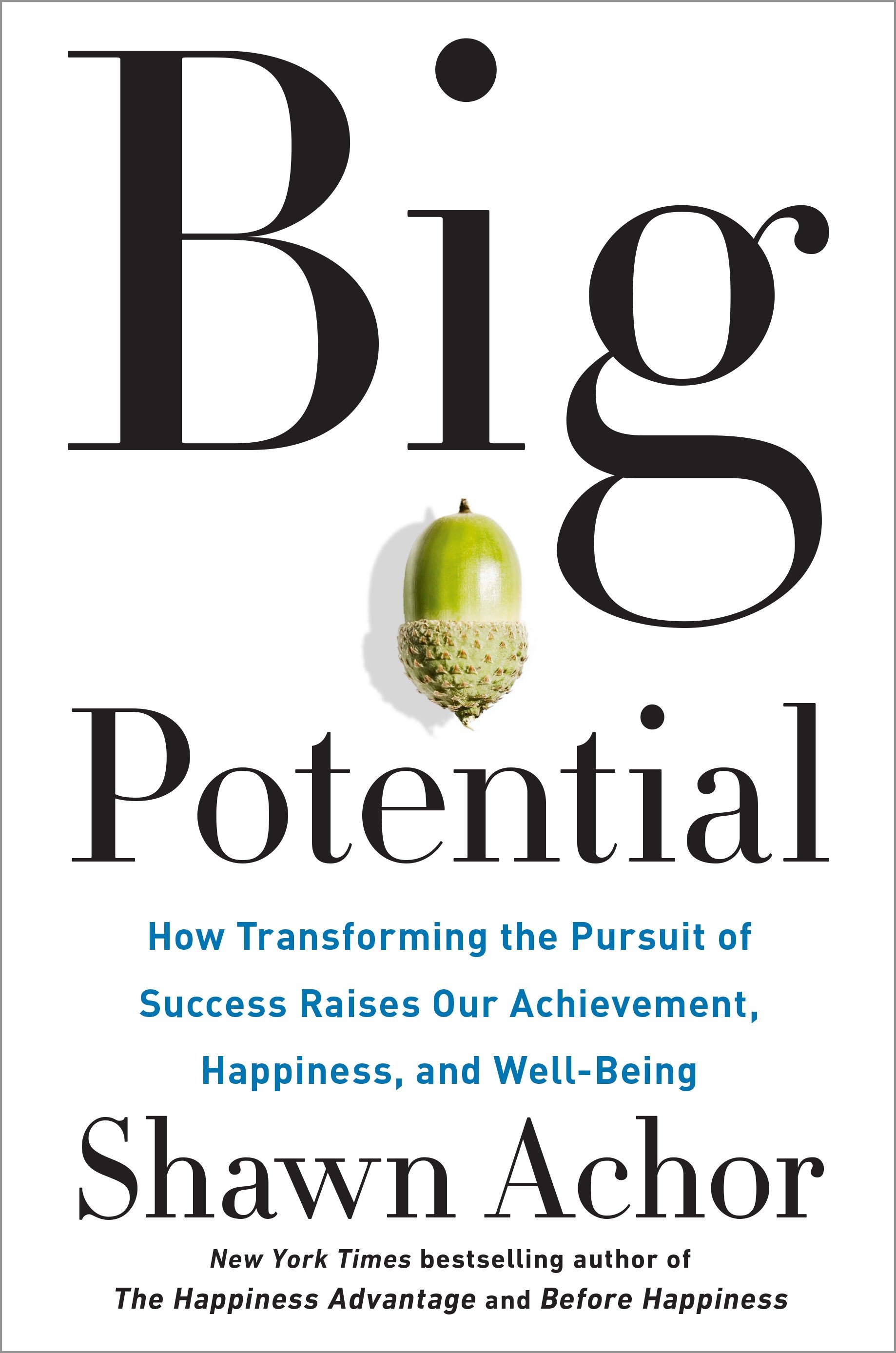 Cover image for Big Potential [electronic resource] : How Transforming the Pursuit of Success Raises Our Achievement, Happiness, and Well-Being