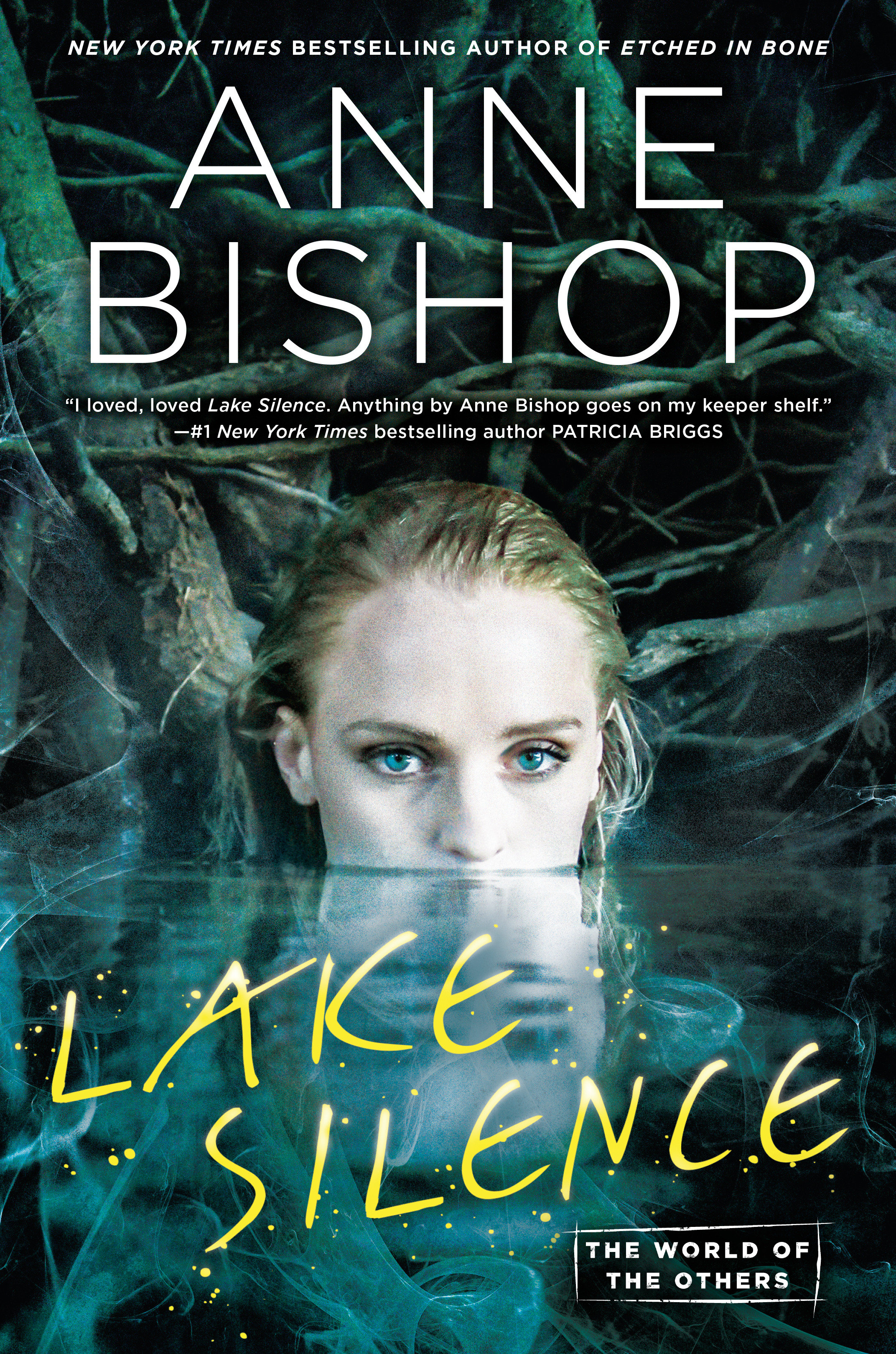 Cover image for Lake Silence [electronic resource] :