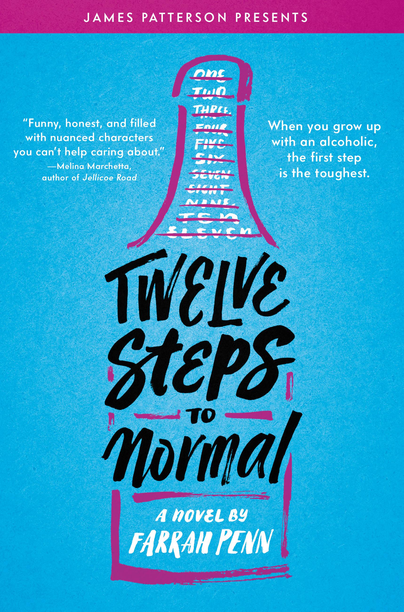 Image de couverture de Twelve Steps to Normal [electronic resource] :