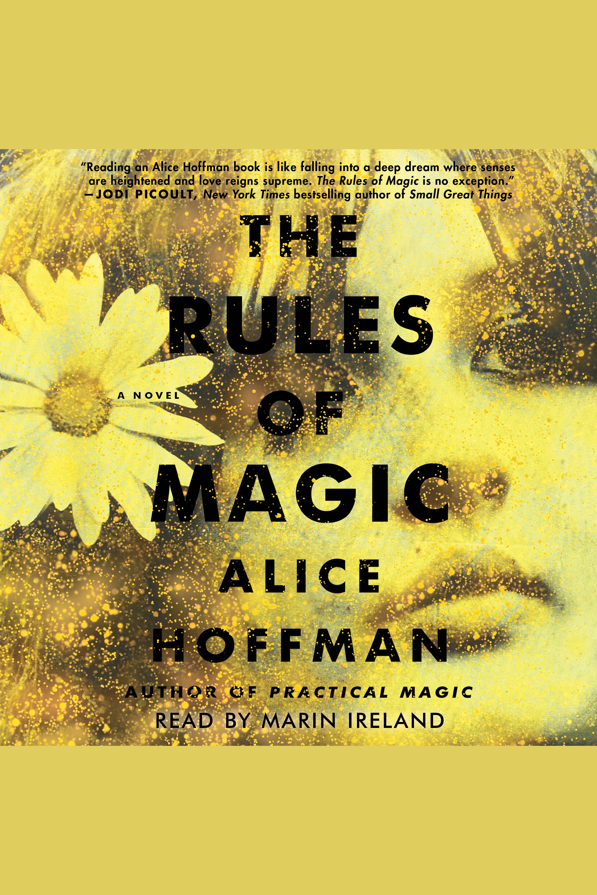 The rules of magic cover image