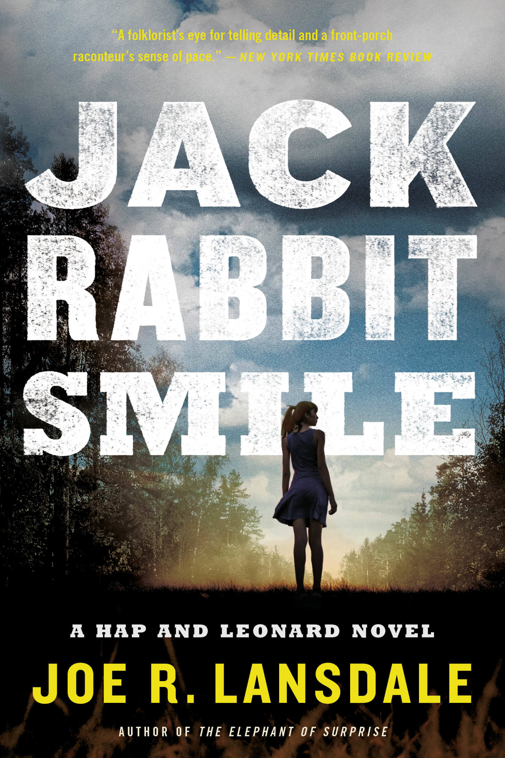 Cover image for Jackrabbit Smile [electronic resource] :