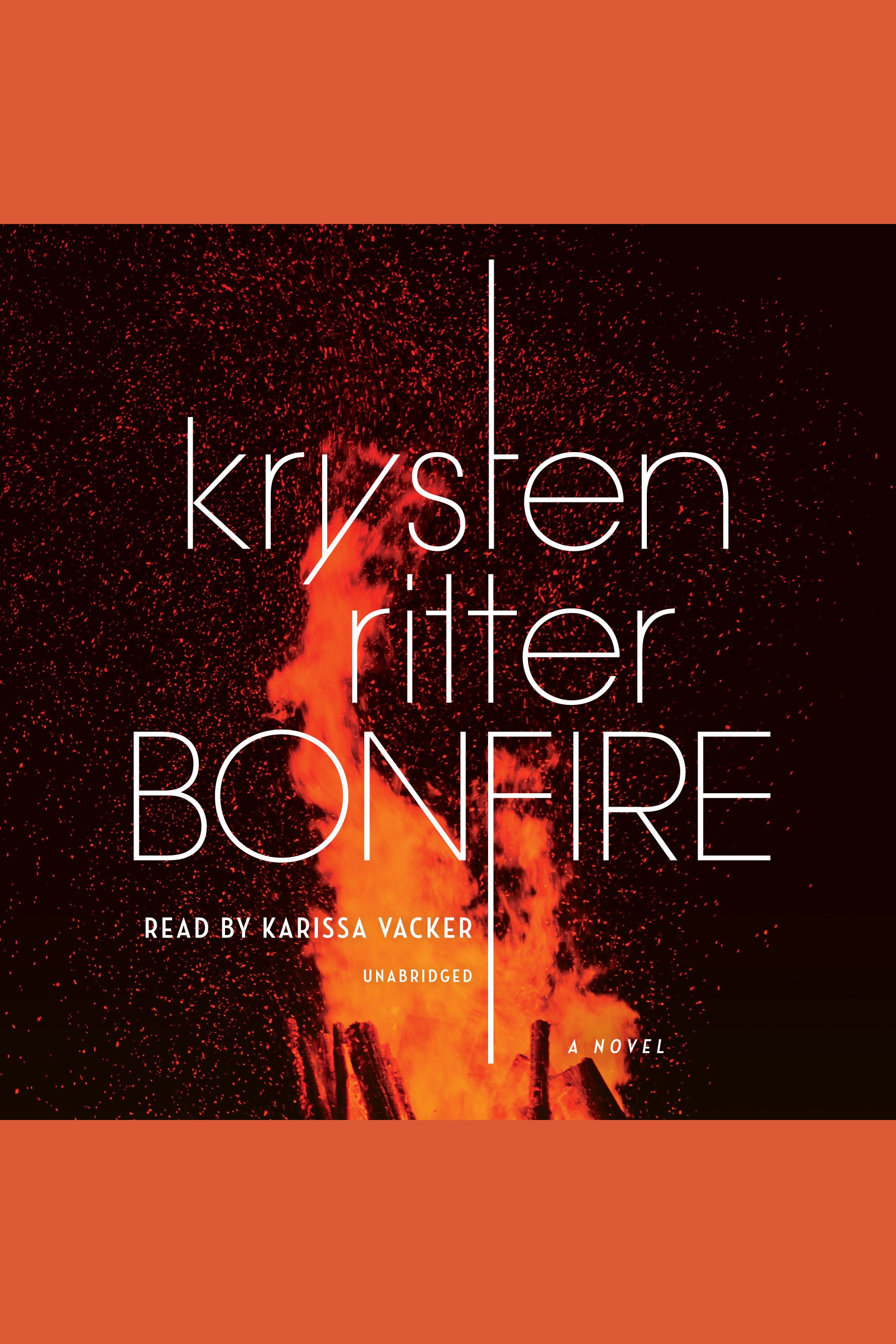 Cover image for Bonfire [electronic resource] : A Novel