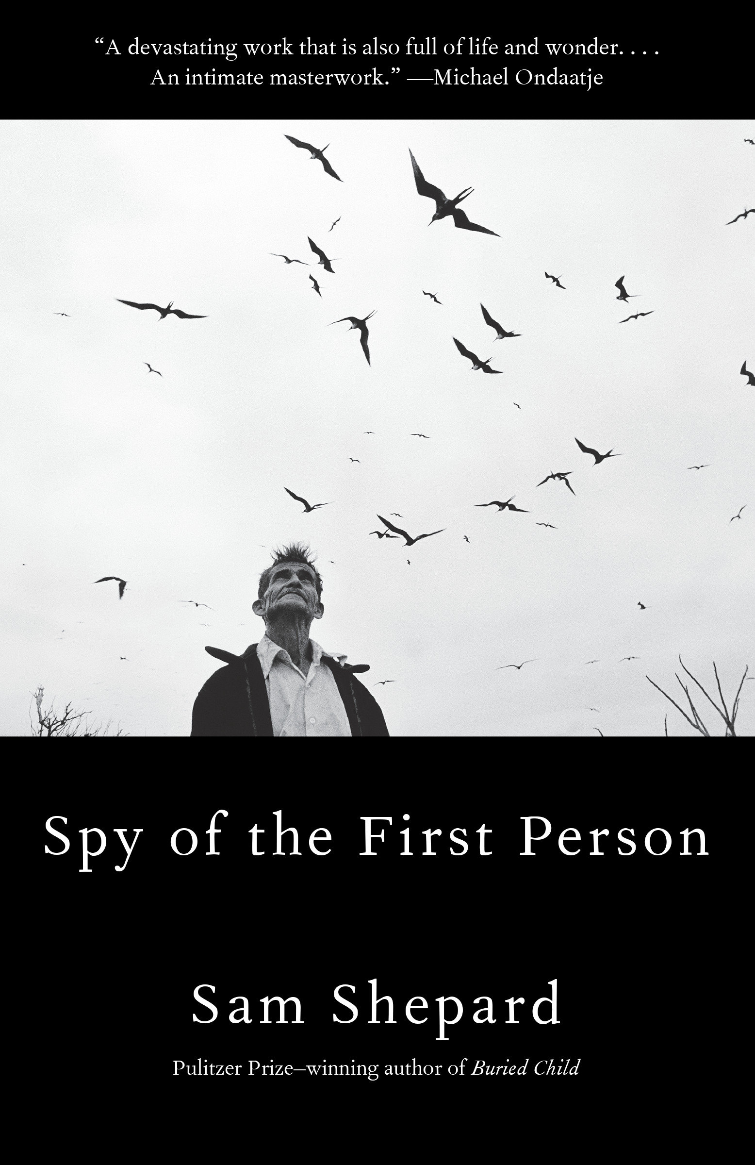 Cover image for Spy of the First Person [electronic resource] :