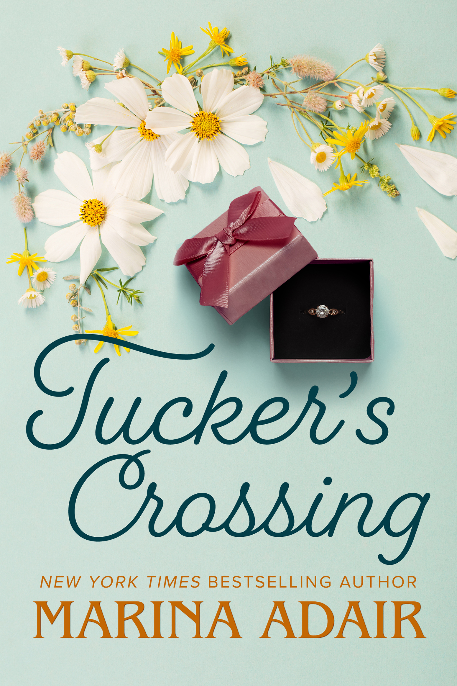 Cover image for Tucker's Crossing [electronic resource] :