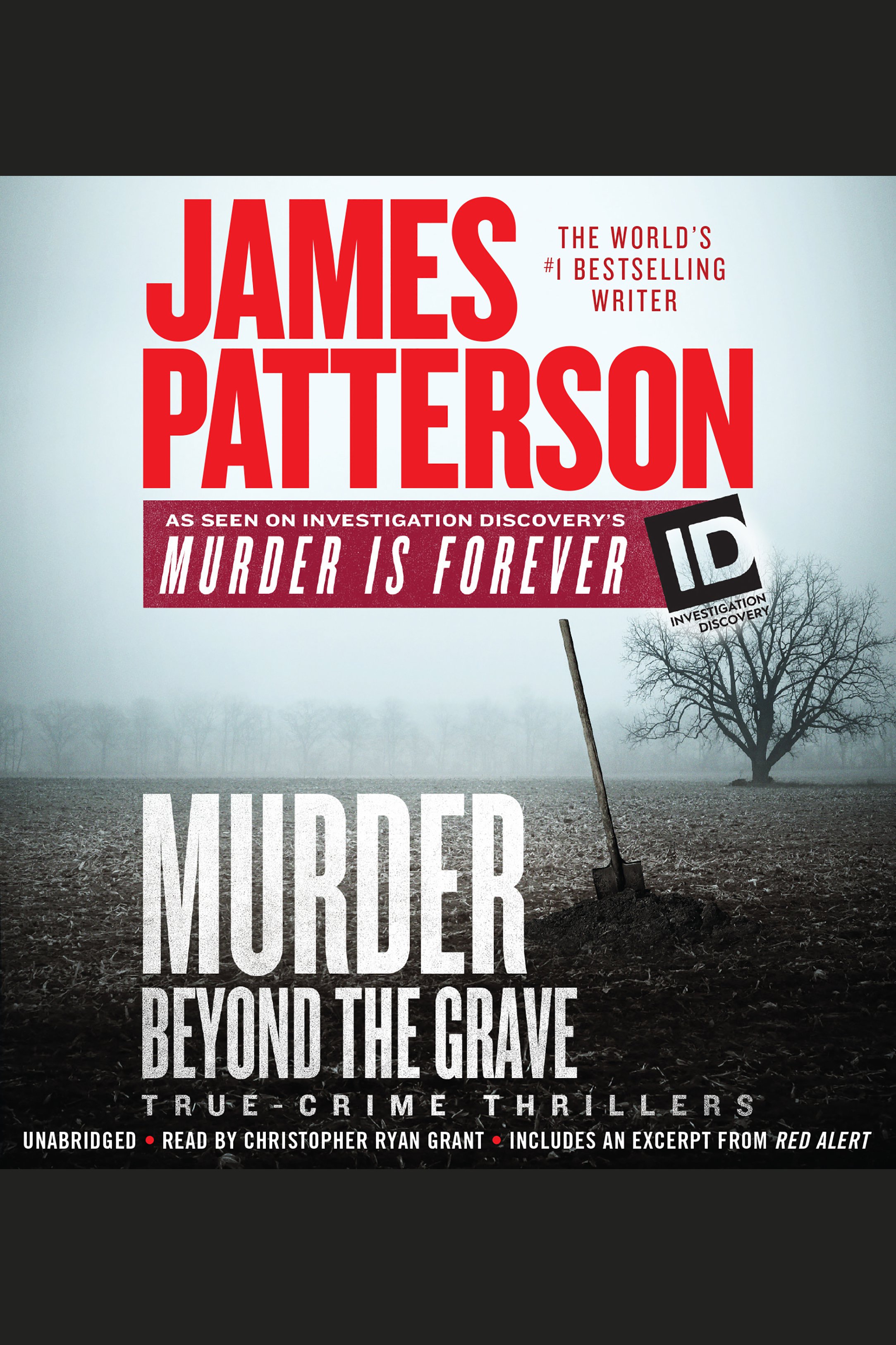 Cover image for Murder Beyond the Grave [electronic resource] :