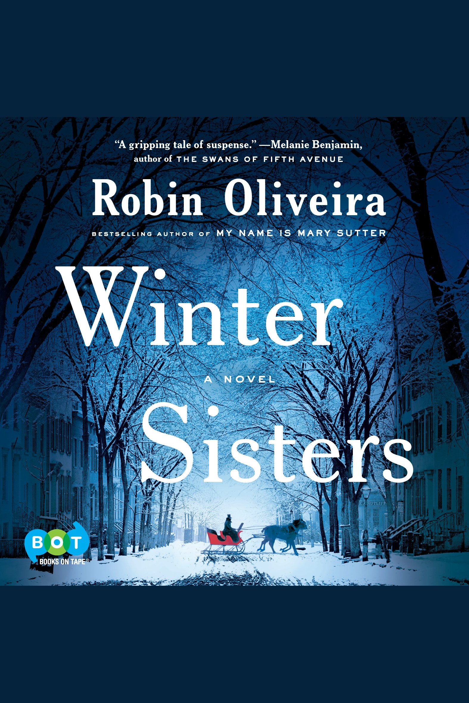 Cover image for Winter Sisters [electronic resource] :