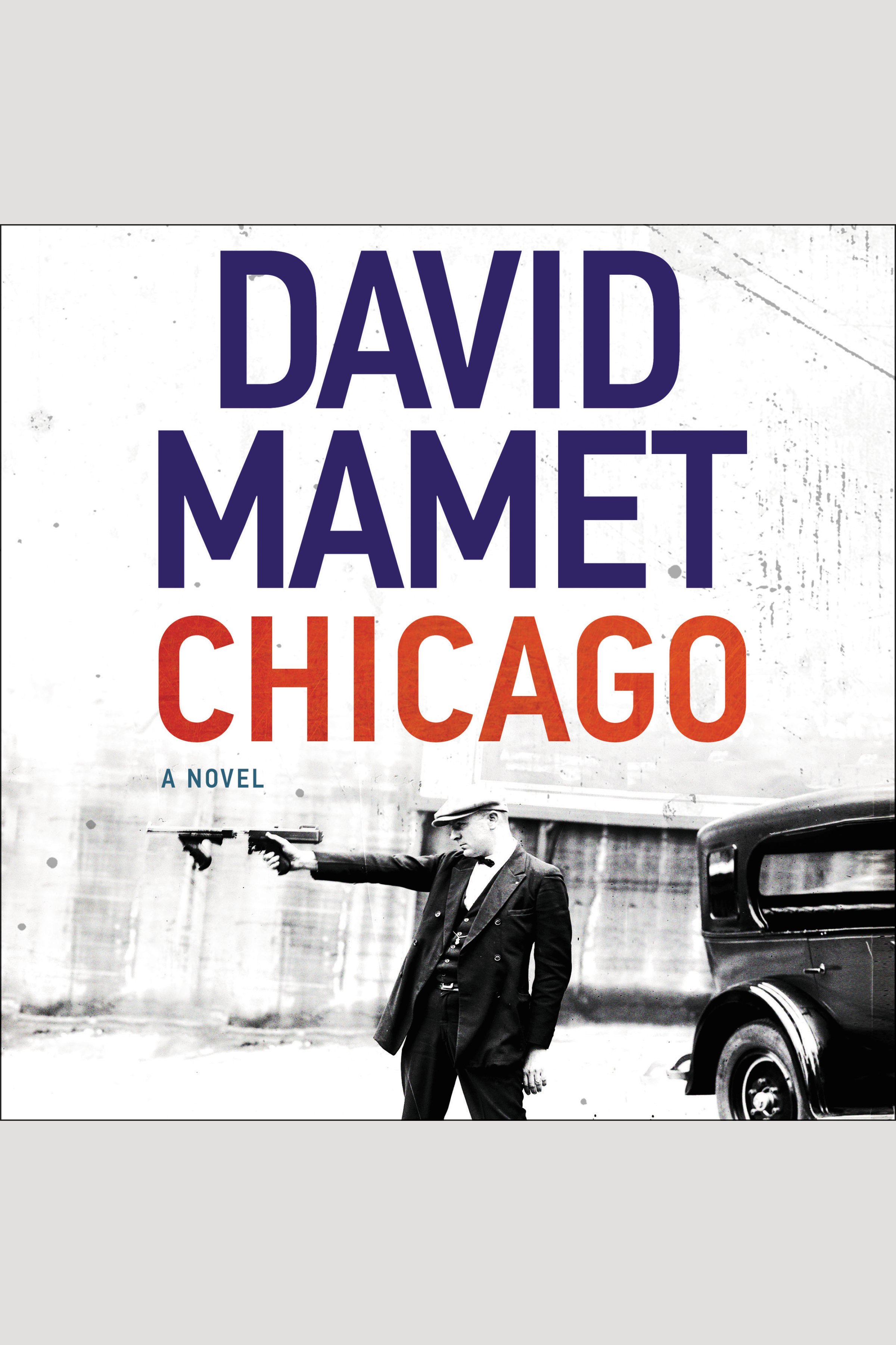 Umschlagbild für Chicago [electronic resource] : A Novel