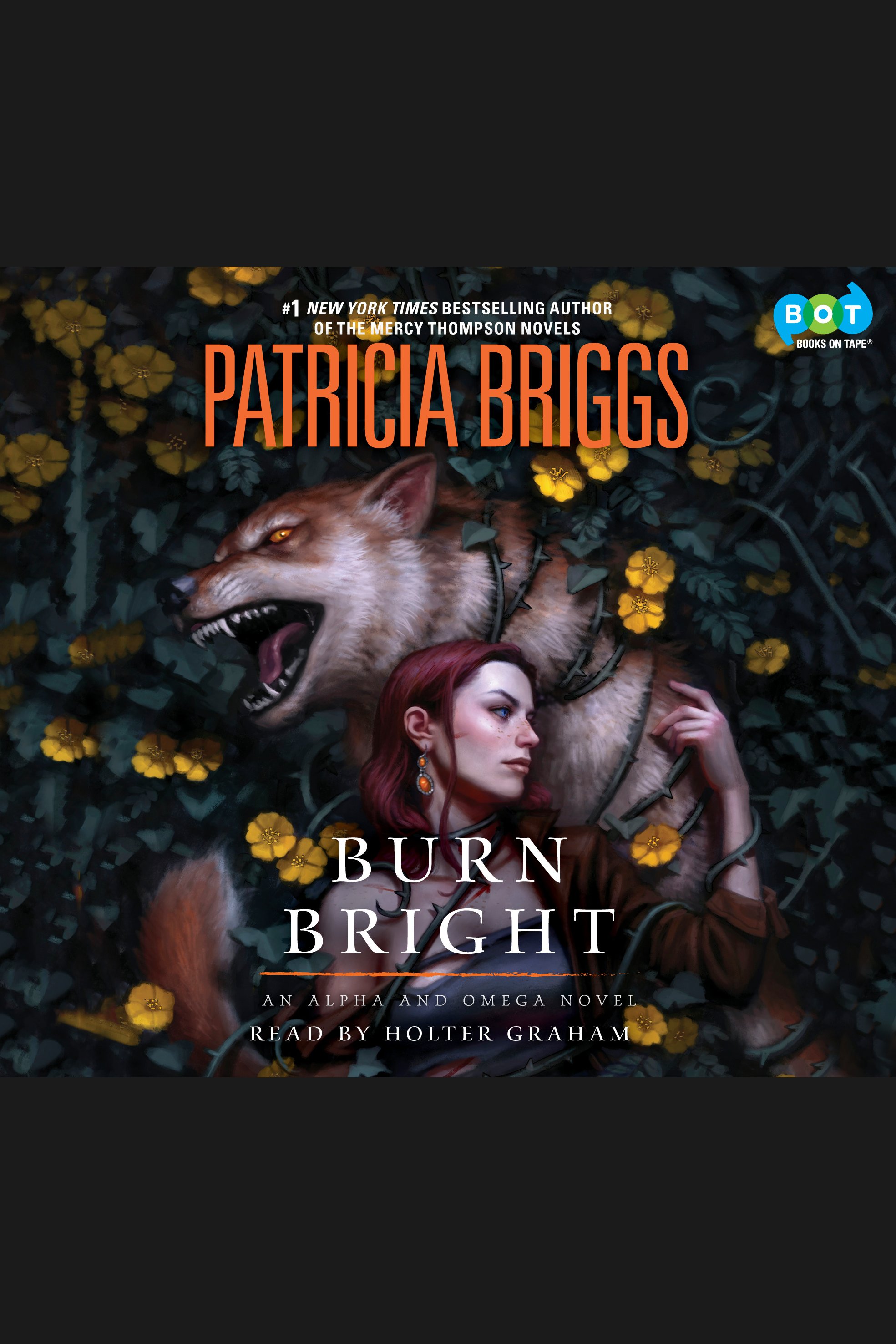 Cover image for Burn Bright [electronic resource] :