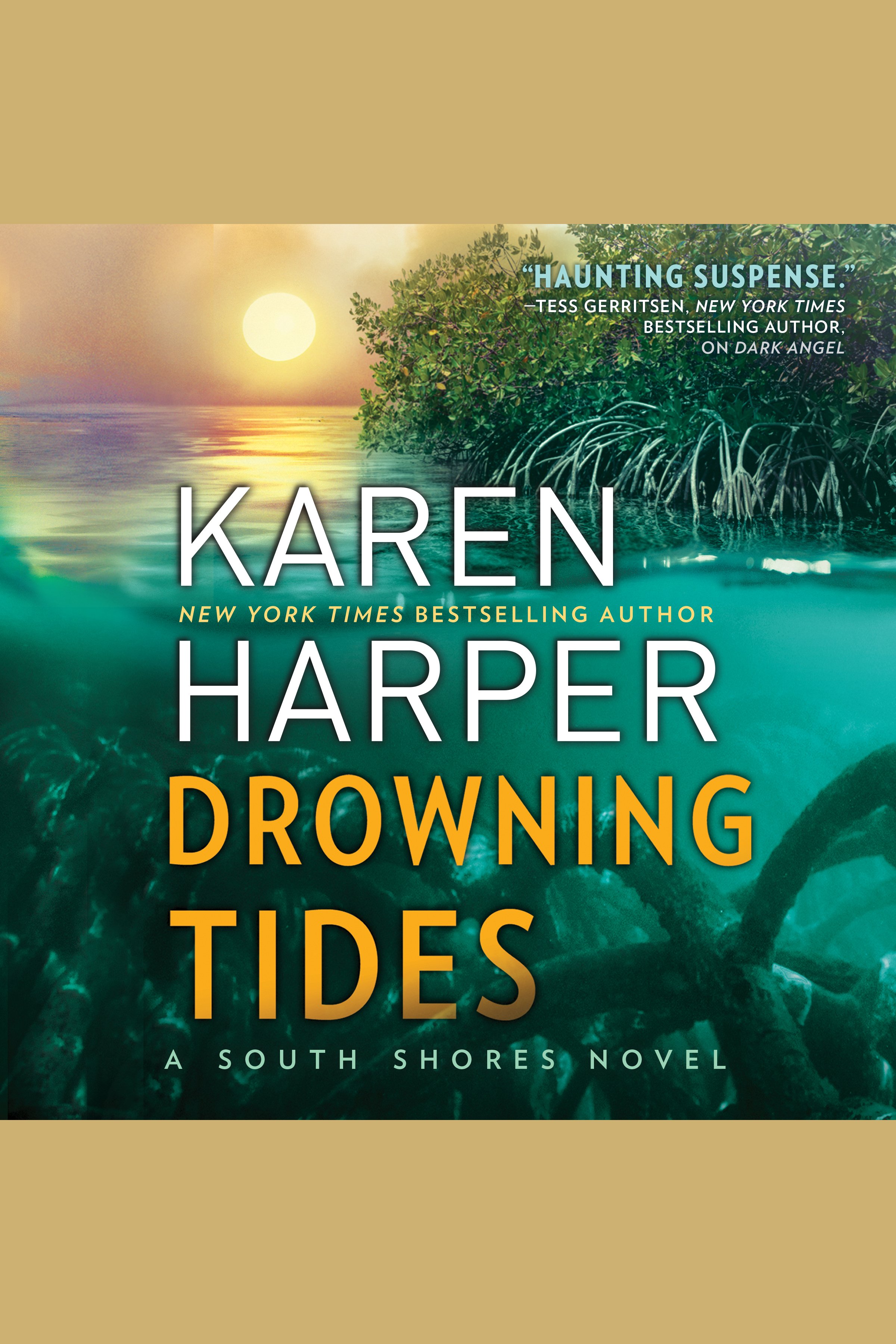 Drowning Tides South Shores cover image