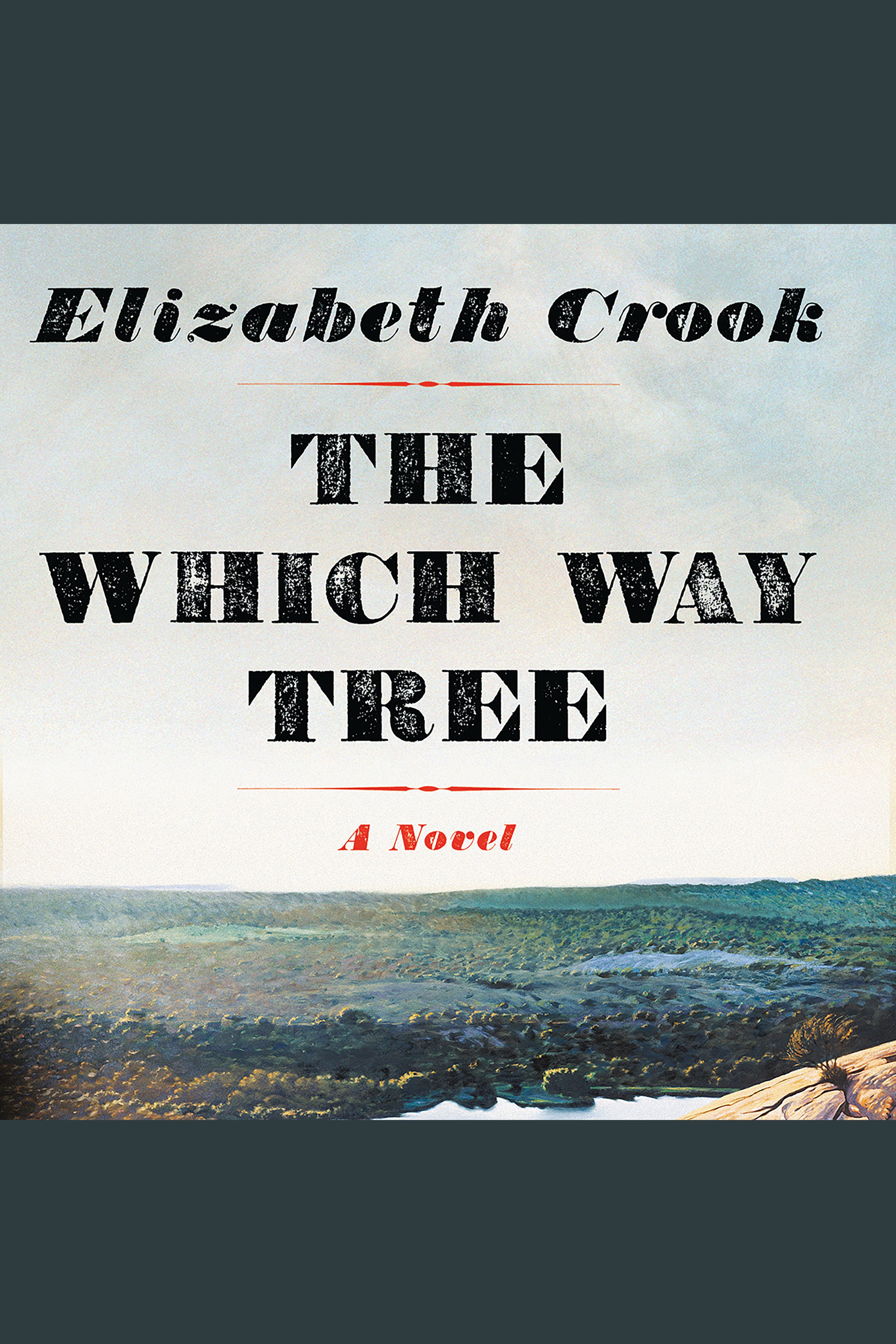 The which way tree cover image