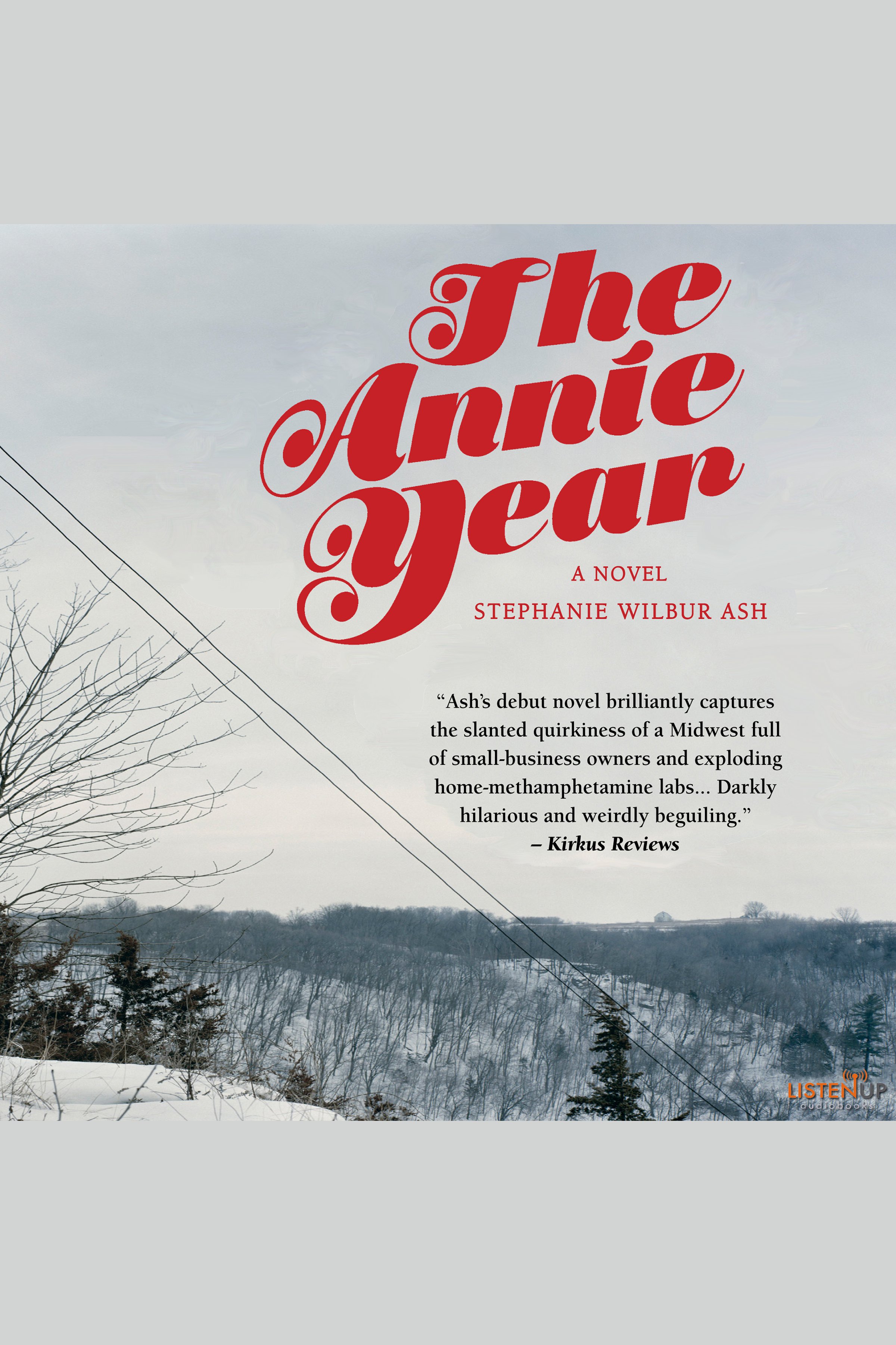 The Annie Year cover image