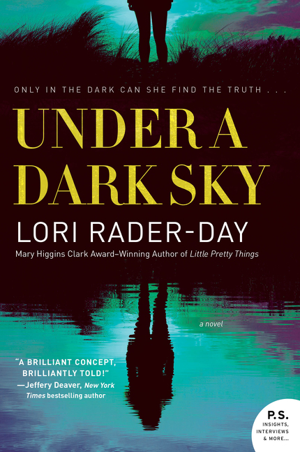 Under a dark sky cover image