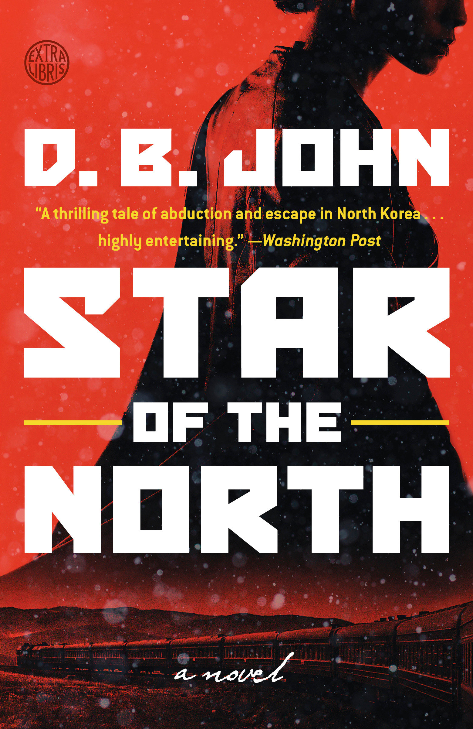 Cover image for Star of the North [electronic resource] : A Novel