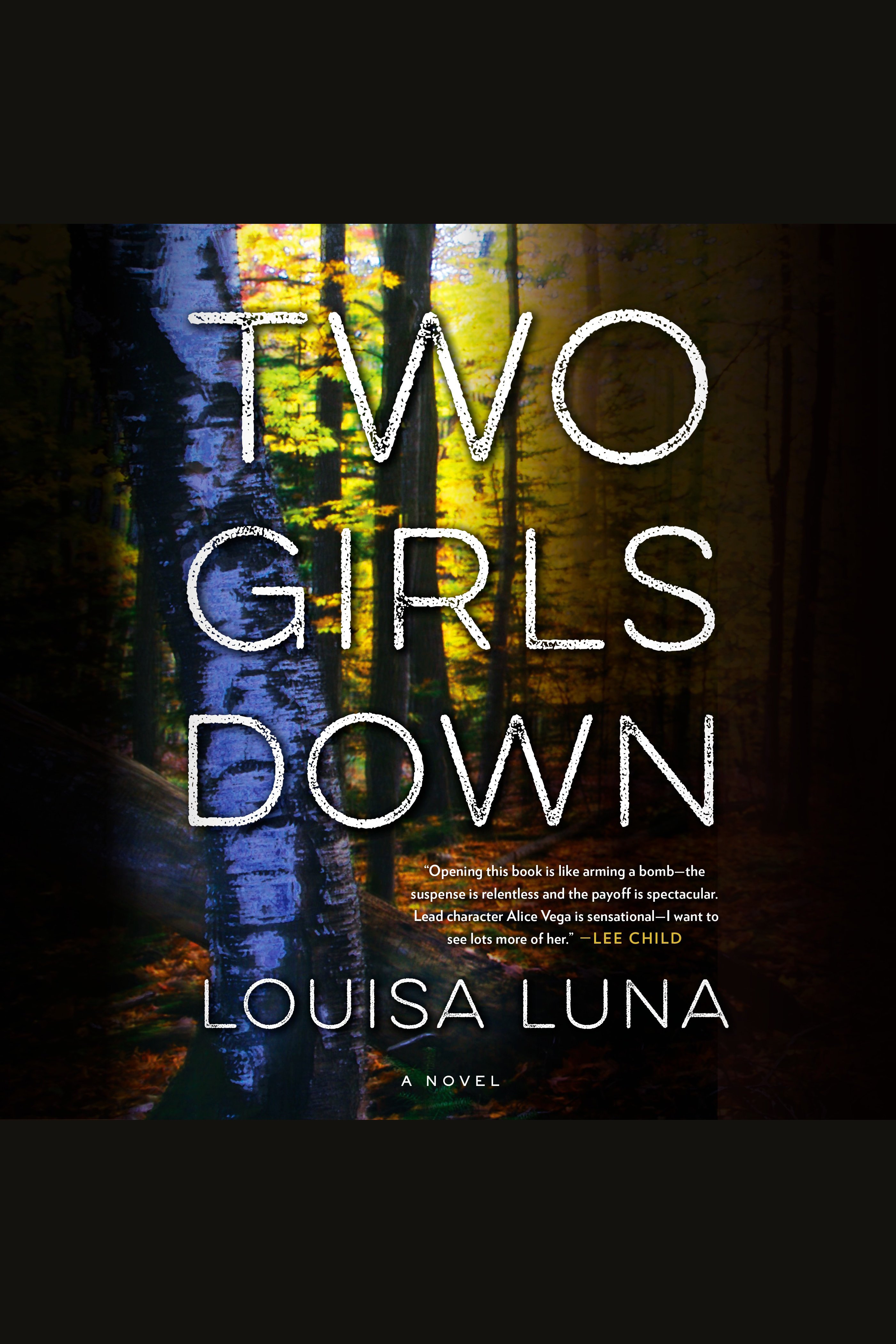 Umschlagbild für Two Girls Down [electronic resource] : A Novel