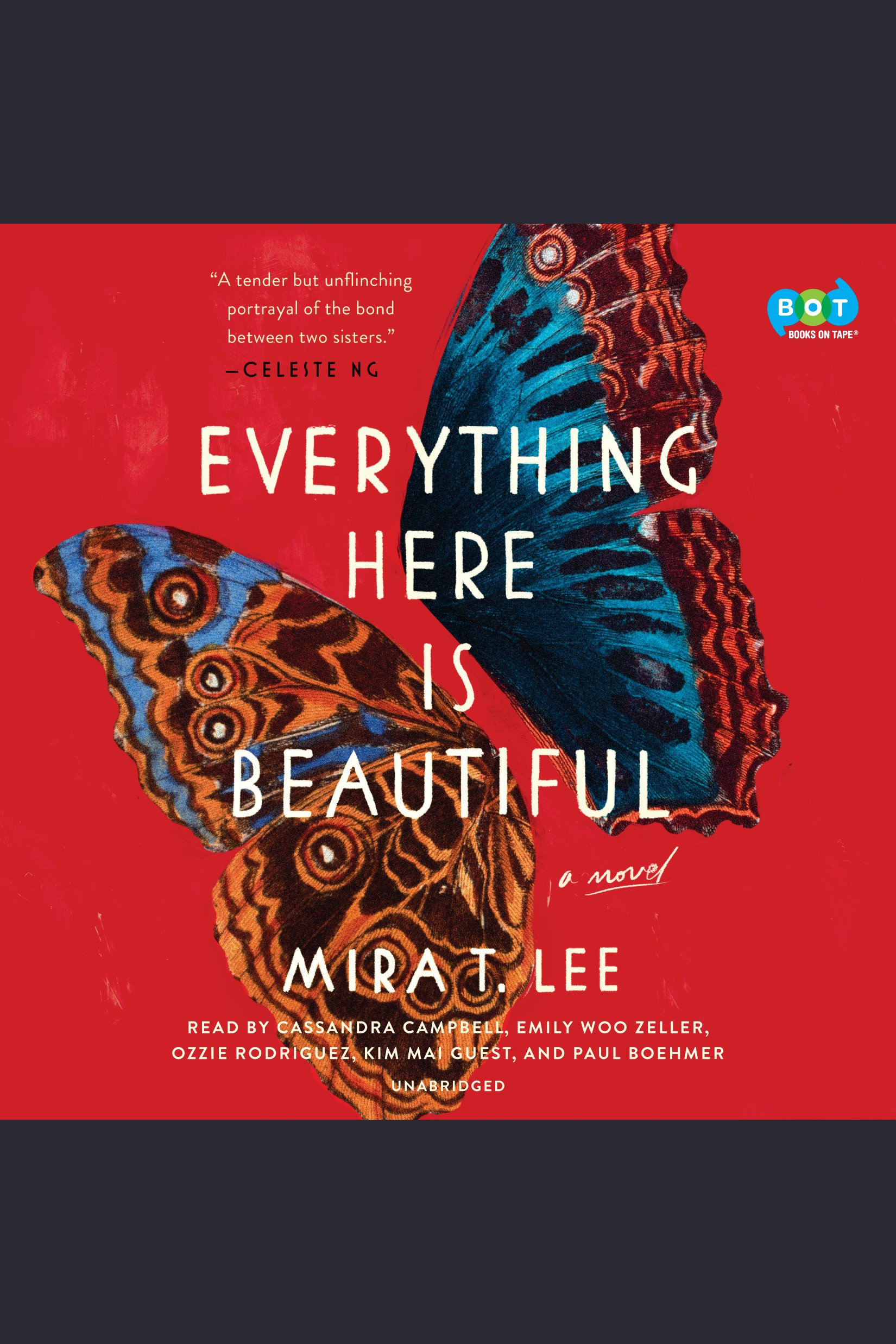 Imagen de portada para Everything Here Is Beautiful [electronic resource] :