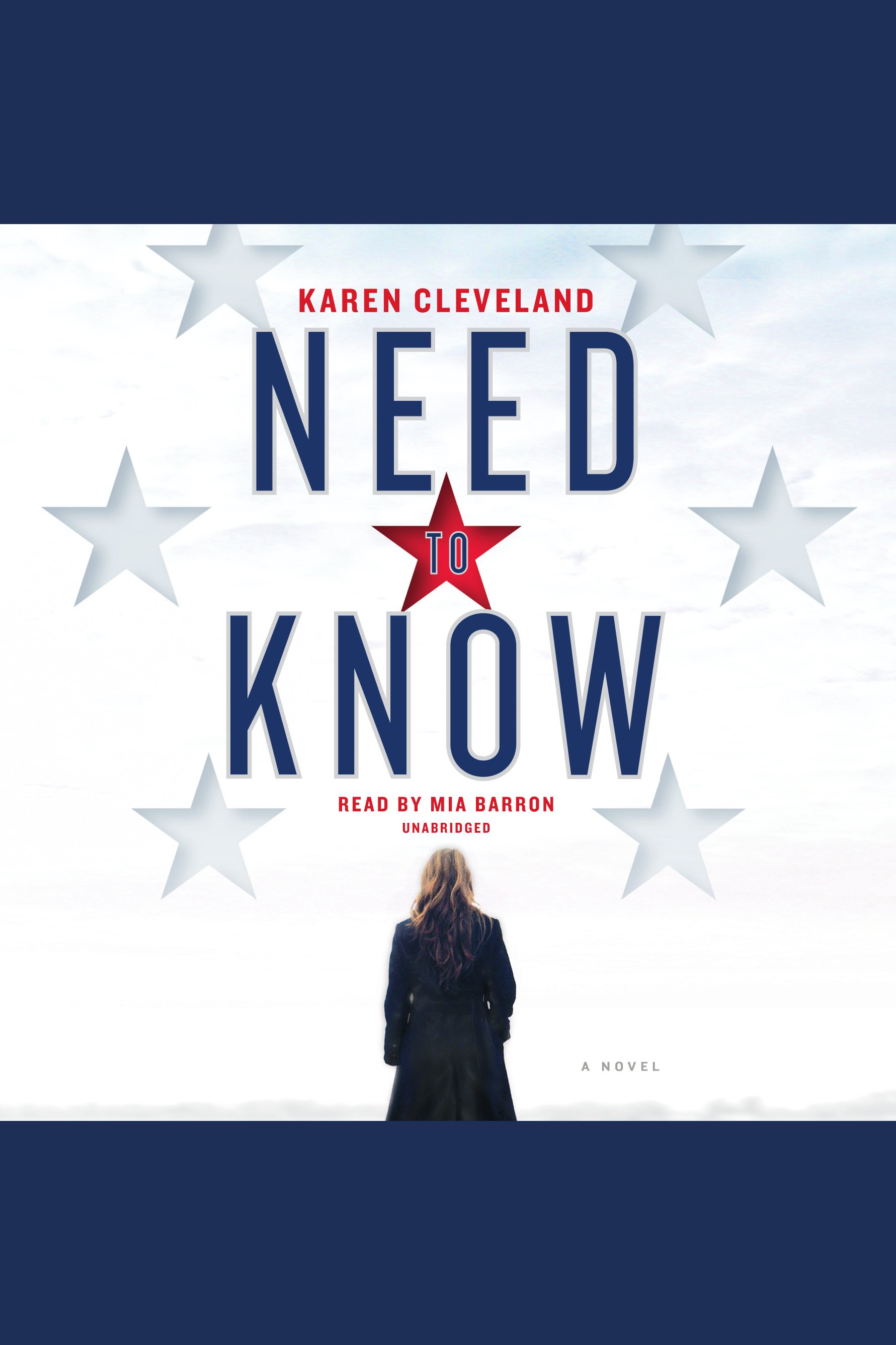 Cover image for Need to Know [electronic resource] : A Novel